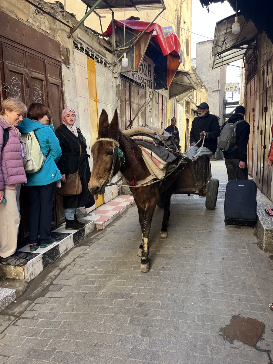 Марокко: от Атлантики до Сахары (43/71)