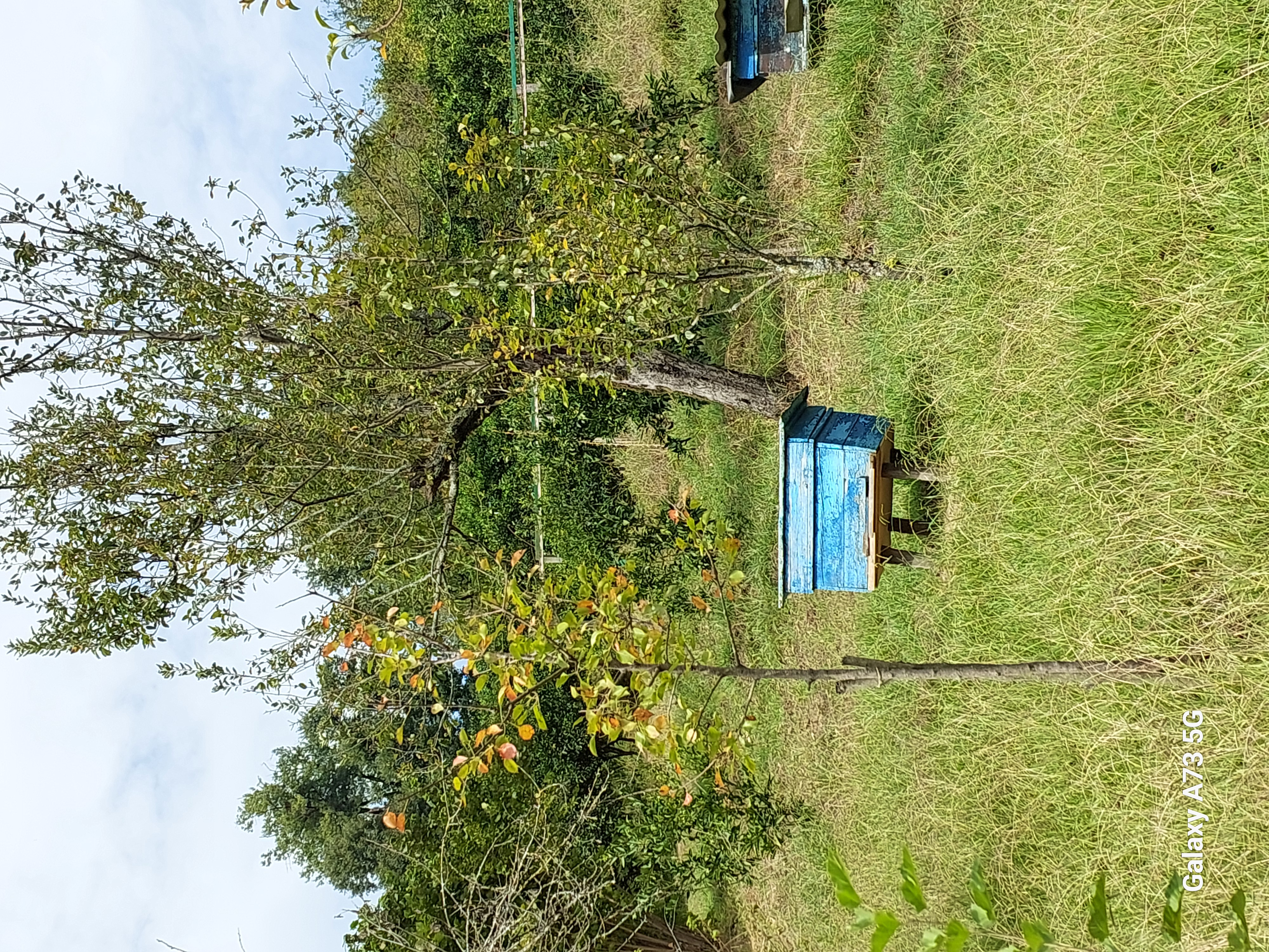 Юг Азербайджана за один день:от пещер Гобустана до субтропиков Ленькорани (10/75)