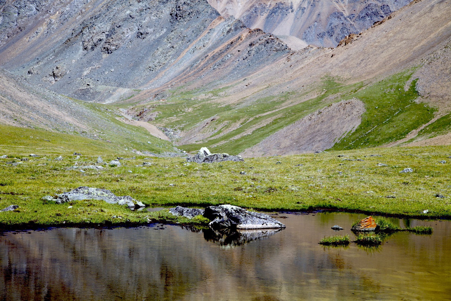 Путешествие к тайнам Горного Алтая (10/111)
