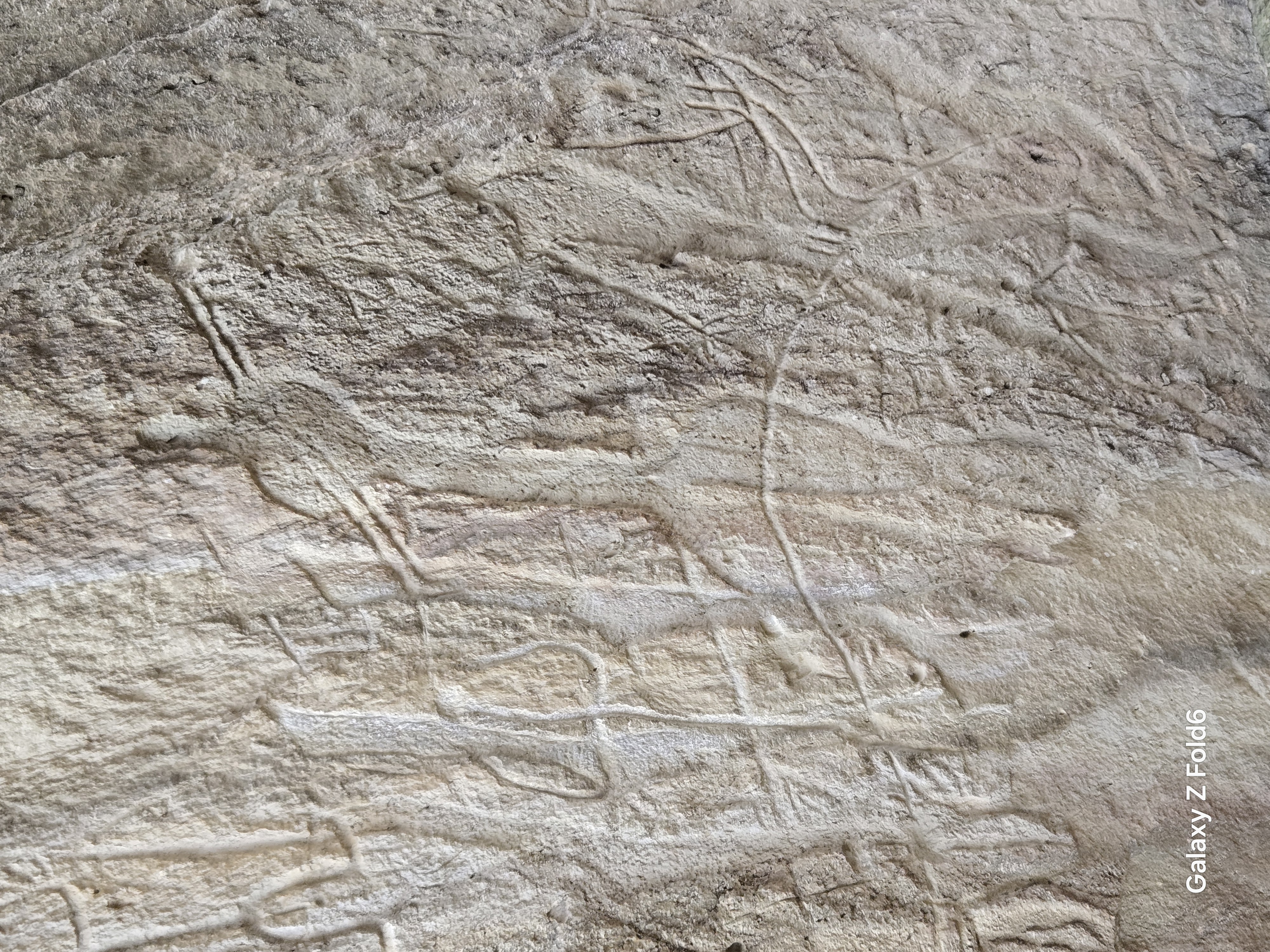 Юг Азербайджана за один день:от пещер Гобустана до субтропиков Ленькорани (46/75)