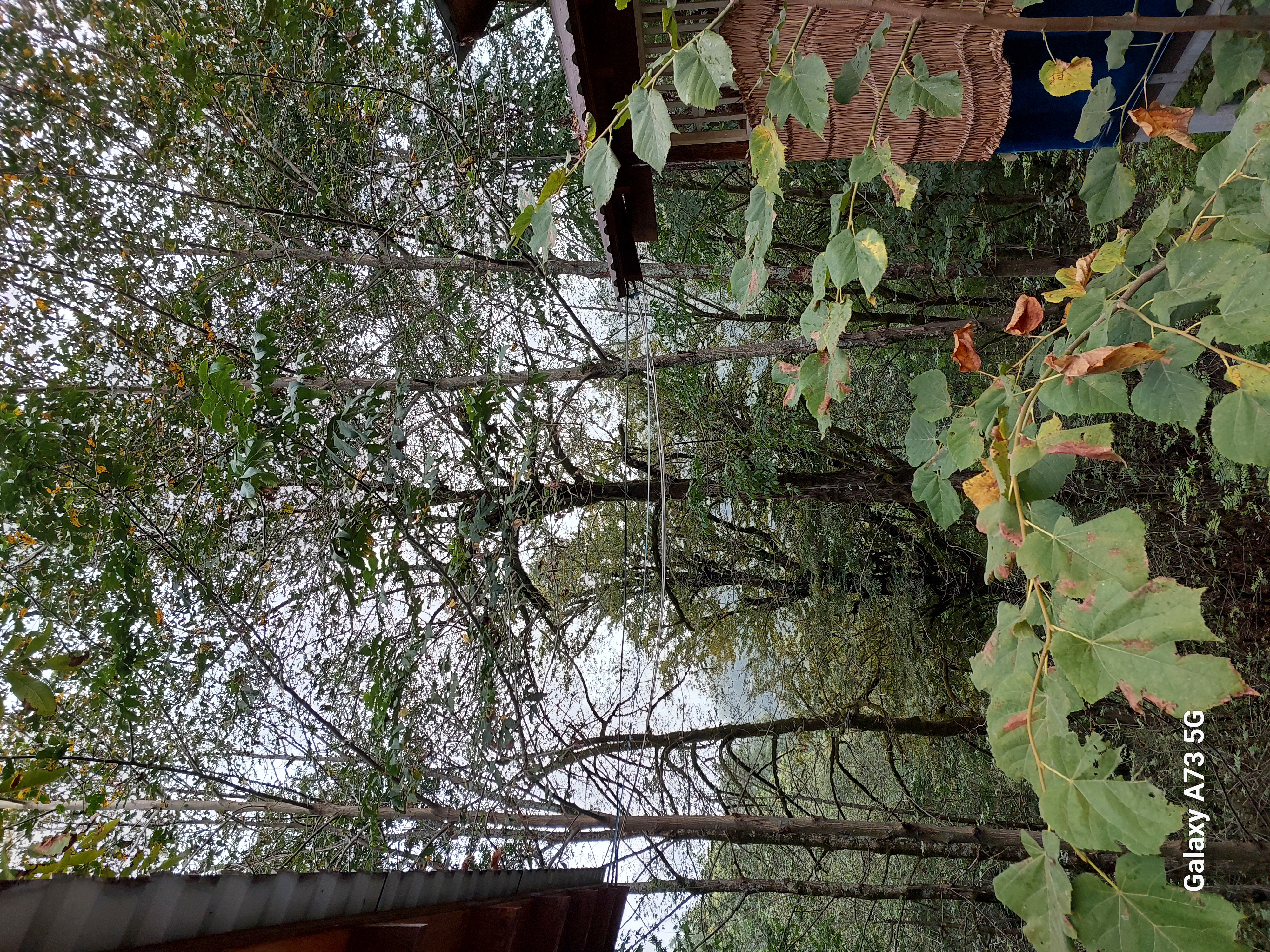 Юг Азербайджана за один день:от пещер Гобустана до субтропиков Ленькорани (36/75)