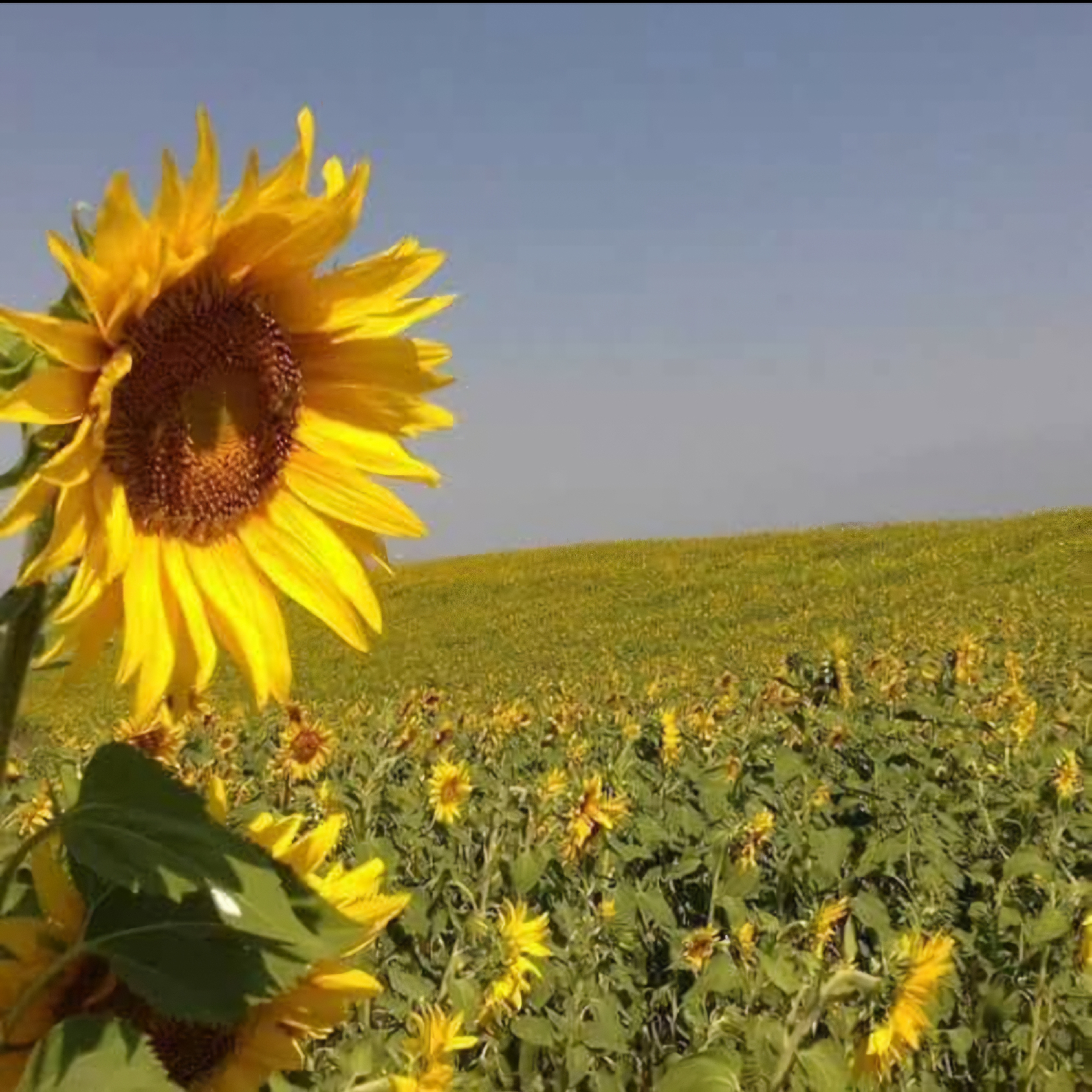 Три мира — одна душа: Шемаха, Лагич, Ивановка (6/62)