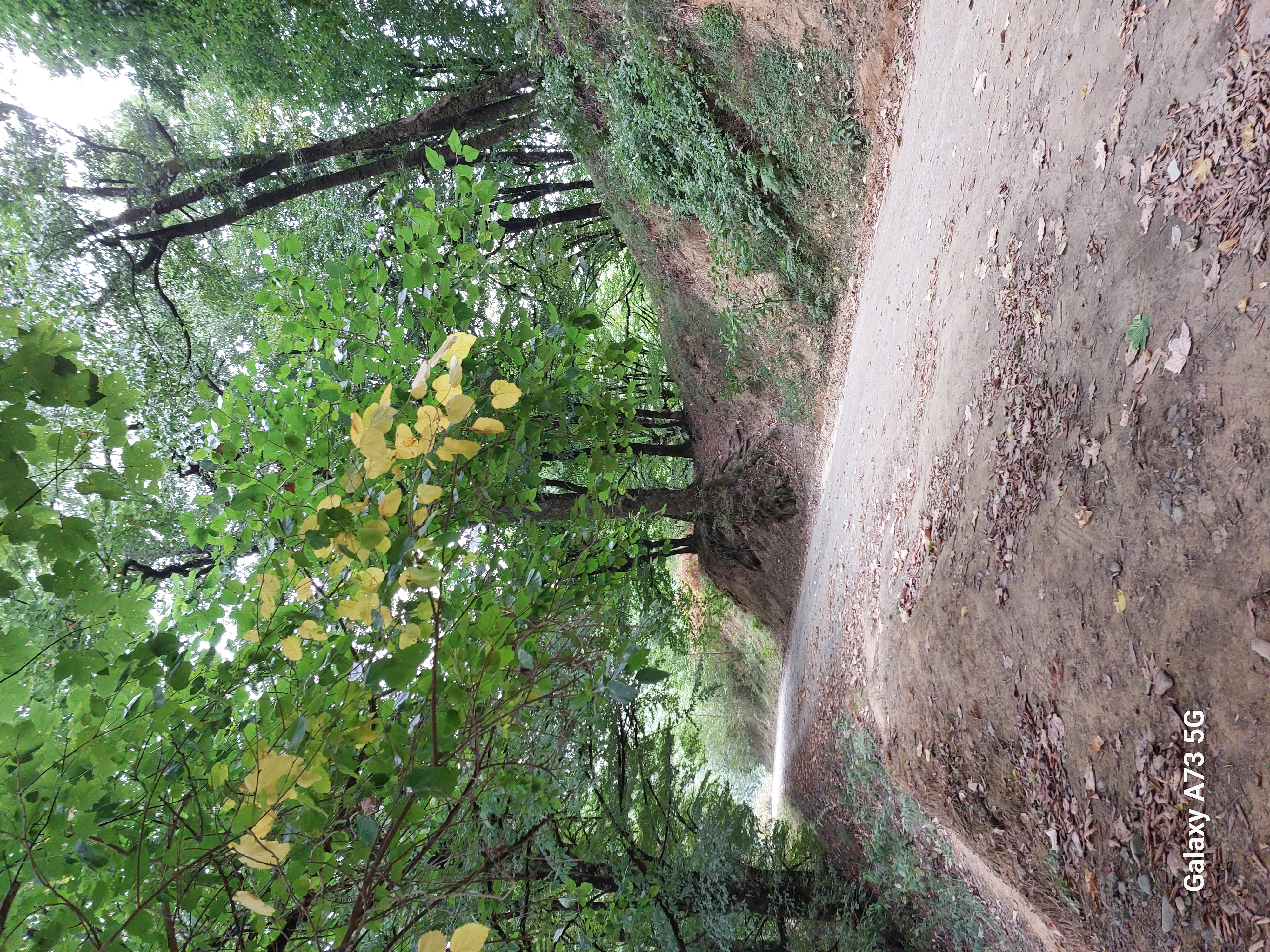 Юг Азербайджана за один день:от пещер Гобустана до субтропиков Ленькорани (40/75)