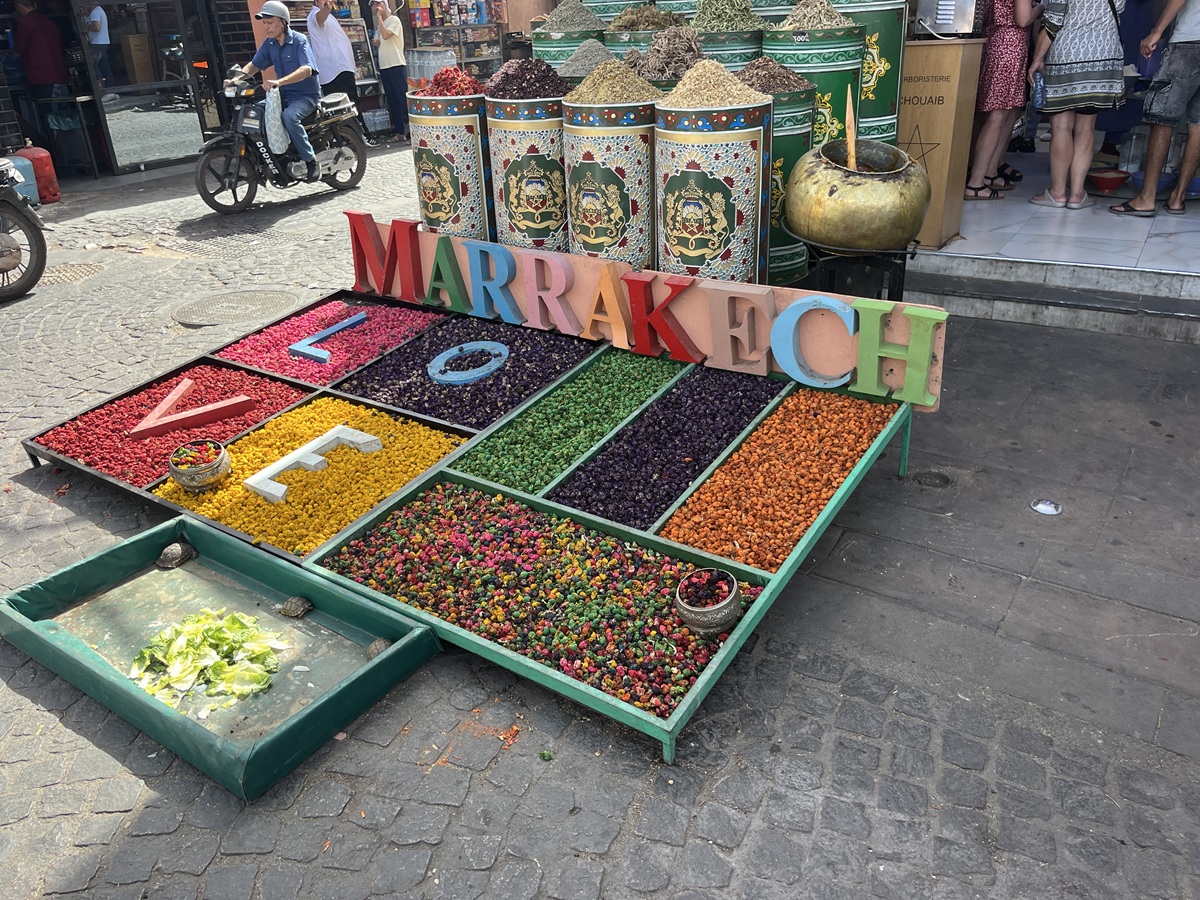 Марокко: от Атлантики до Сахары (26/71)