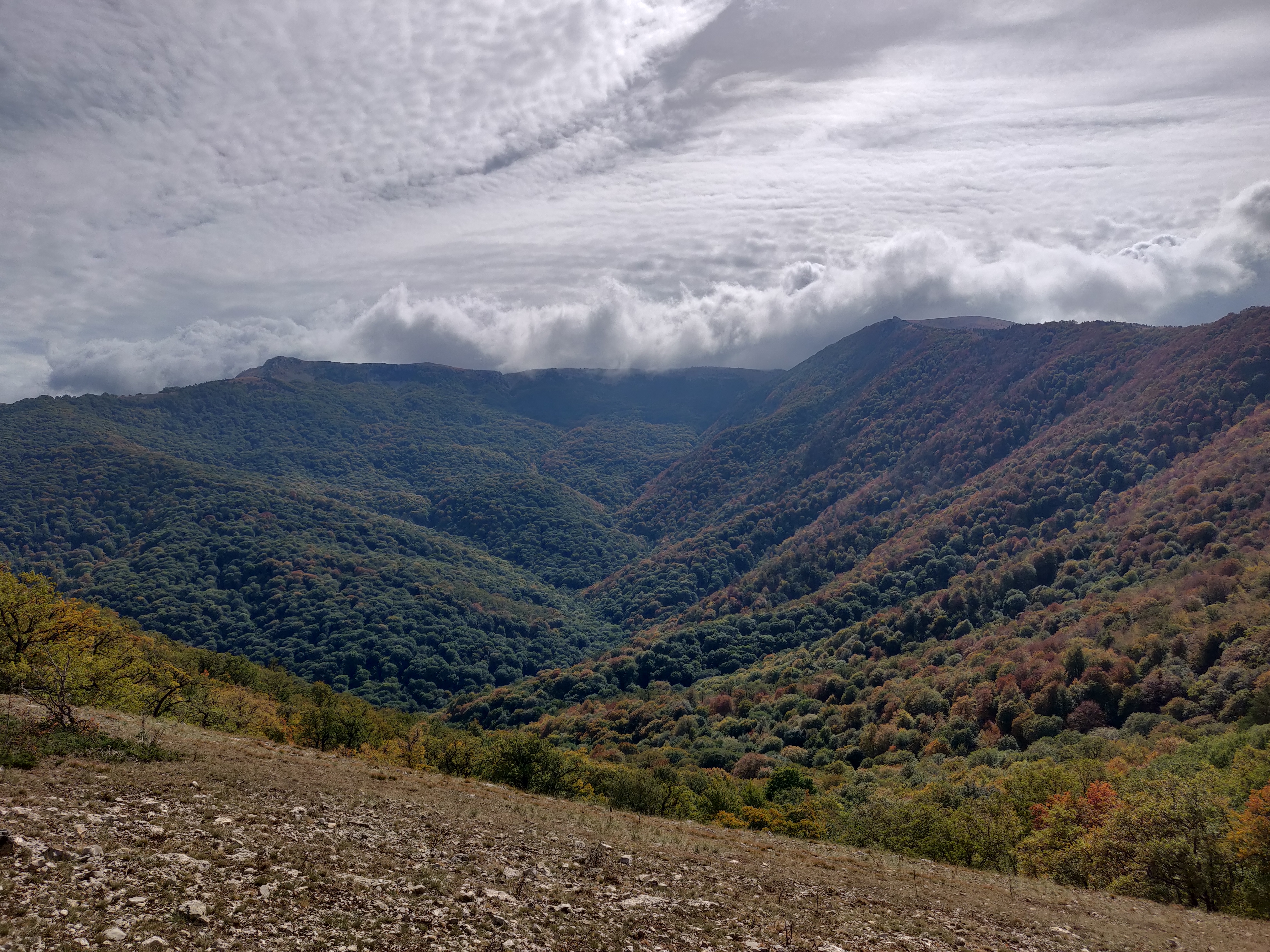 Через горы к морю! Маршрут 8 Кавказского заповедника (26/26)