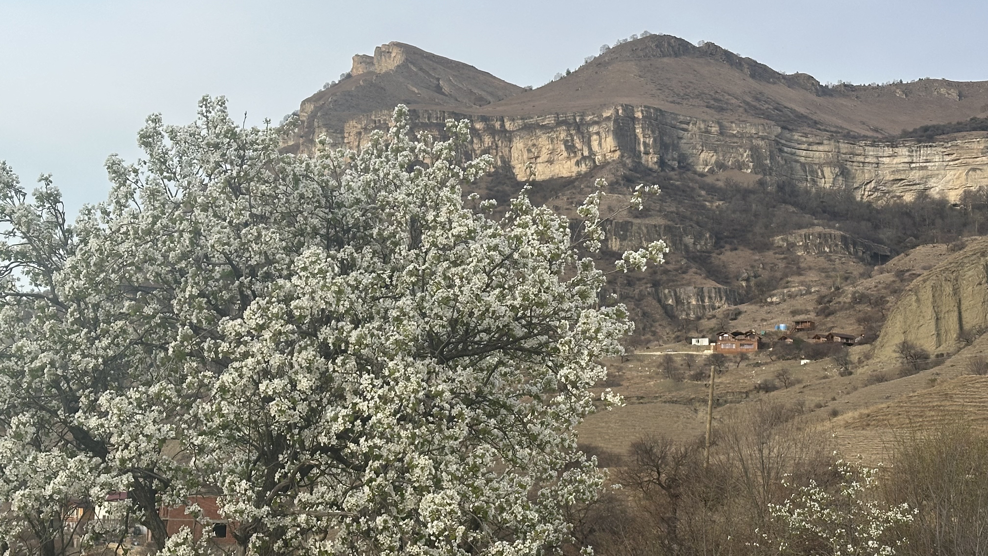 Вальс Цветов.  5 дней весны (53/71)