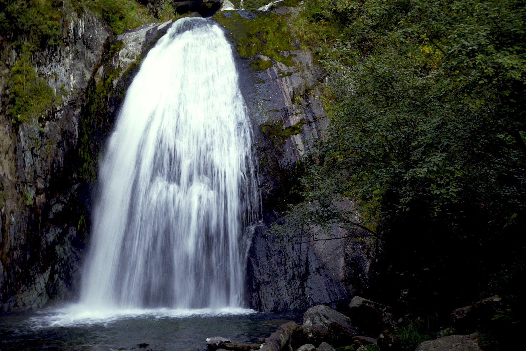 Путешествие к тайнам Горного Алтая