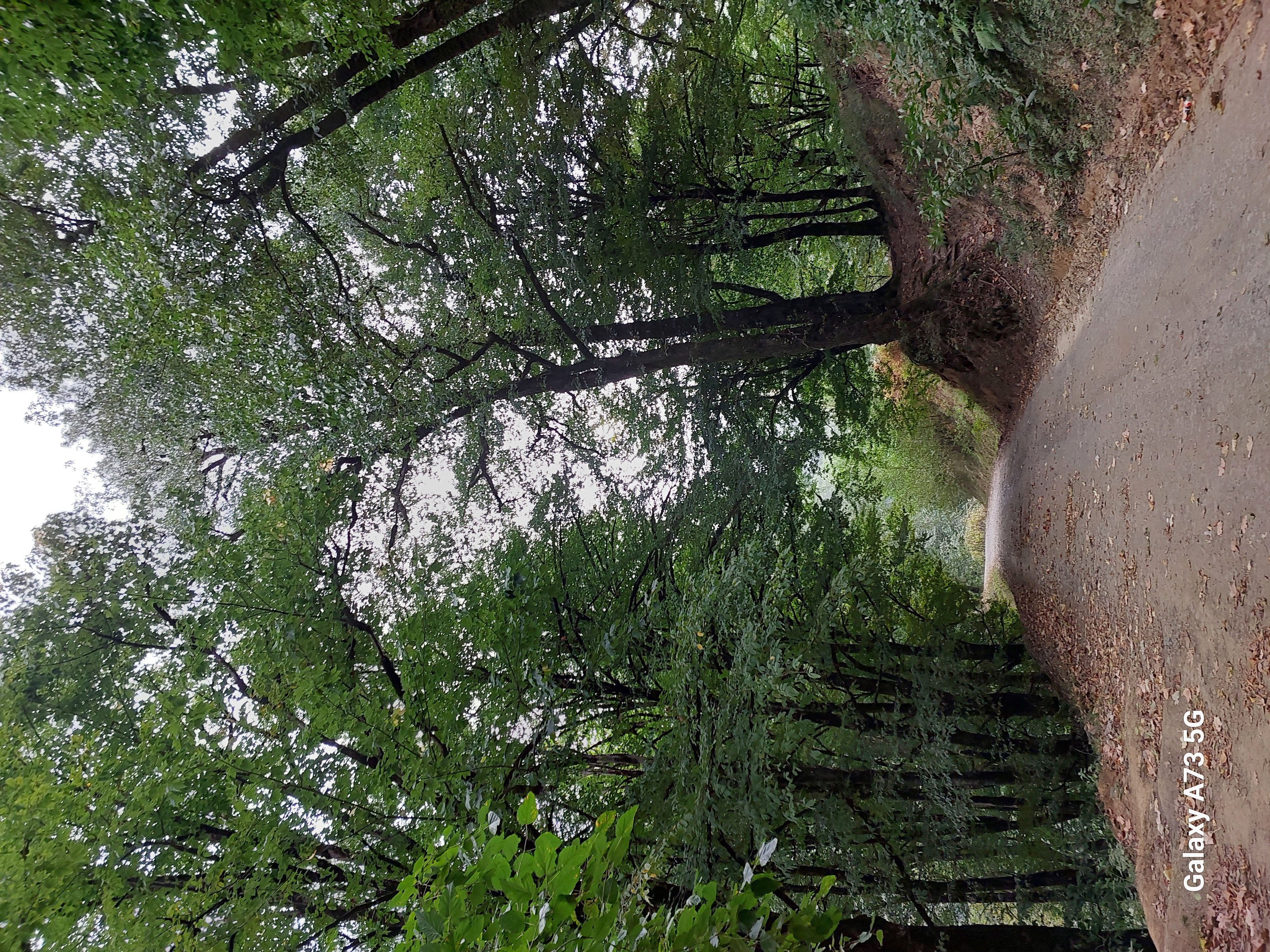 Юг Азербайджана за один день:от пещер Гобустана до субтропиков Ленькорани (39/75)