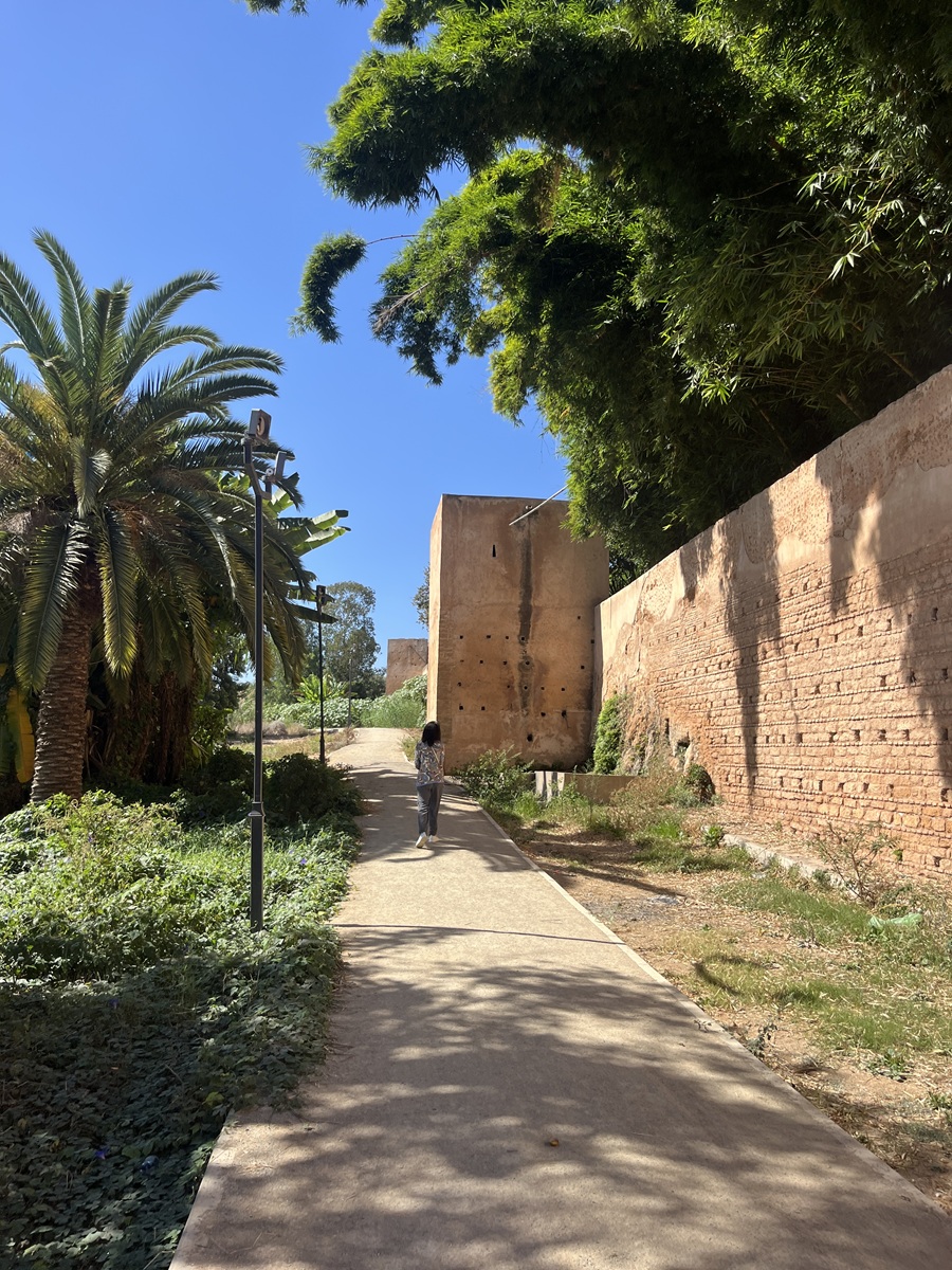 Марокко: от Атлантики до Сахары (25/71)