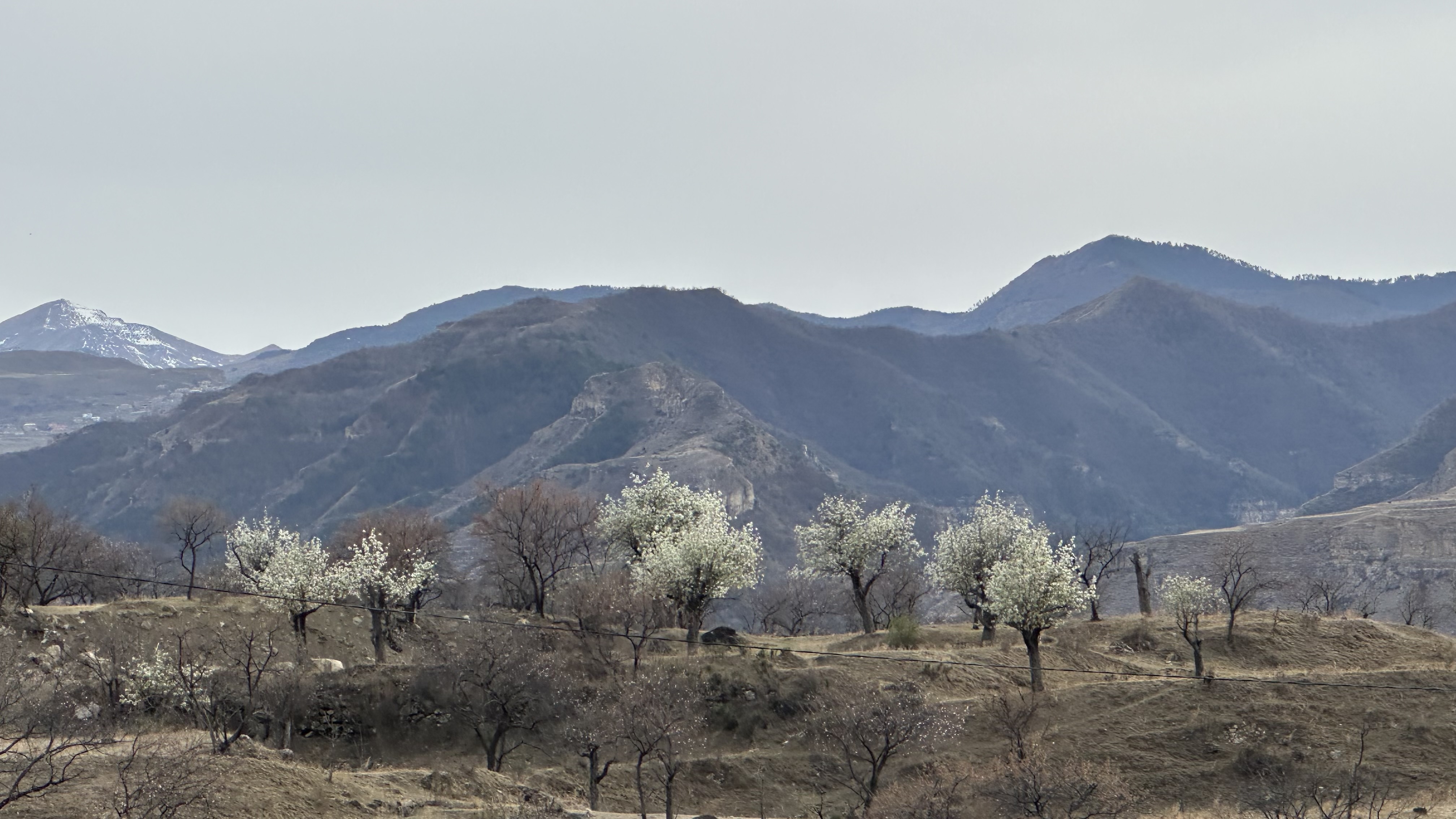 Вальс Цветов.  5 дней весны (49/71)