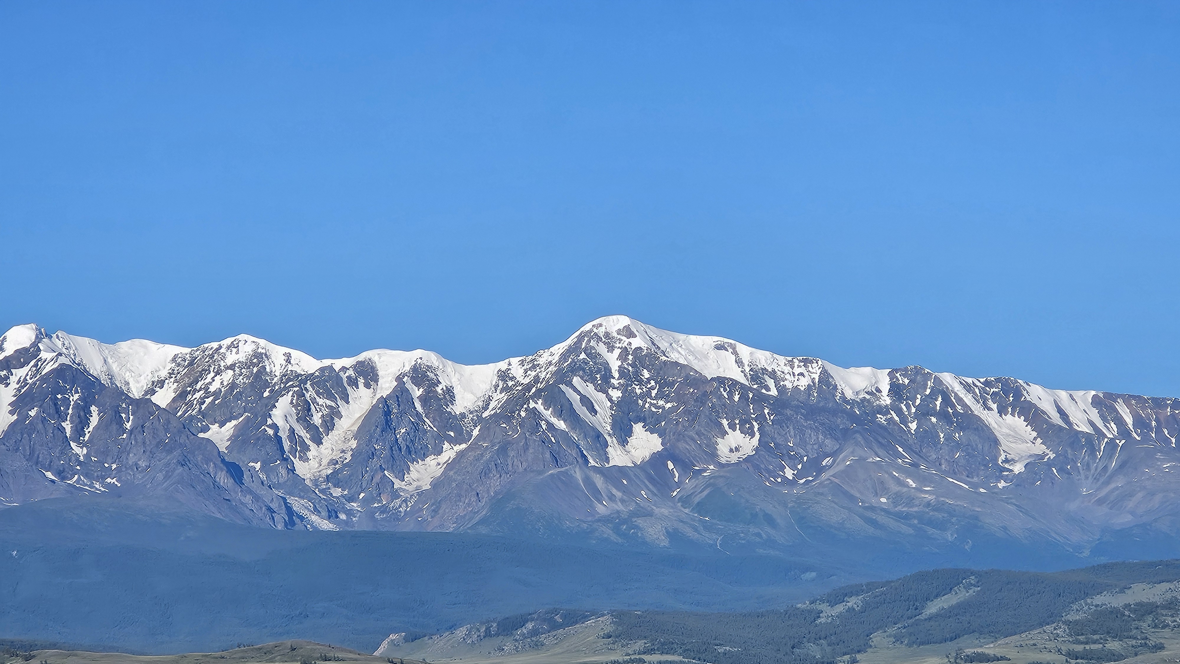 Весенний Алтай. Цветущие горы. (8/15)