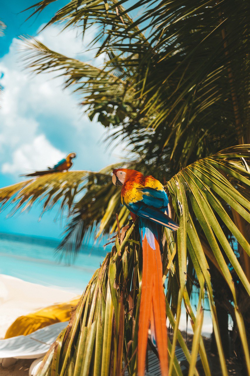 Мальдивы для перзагрузки и восстановления