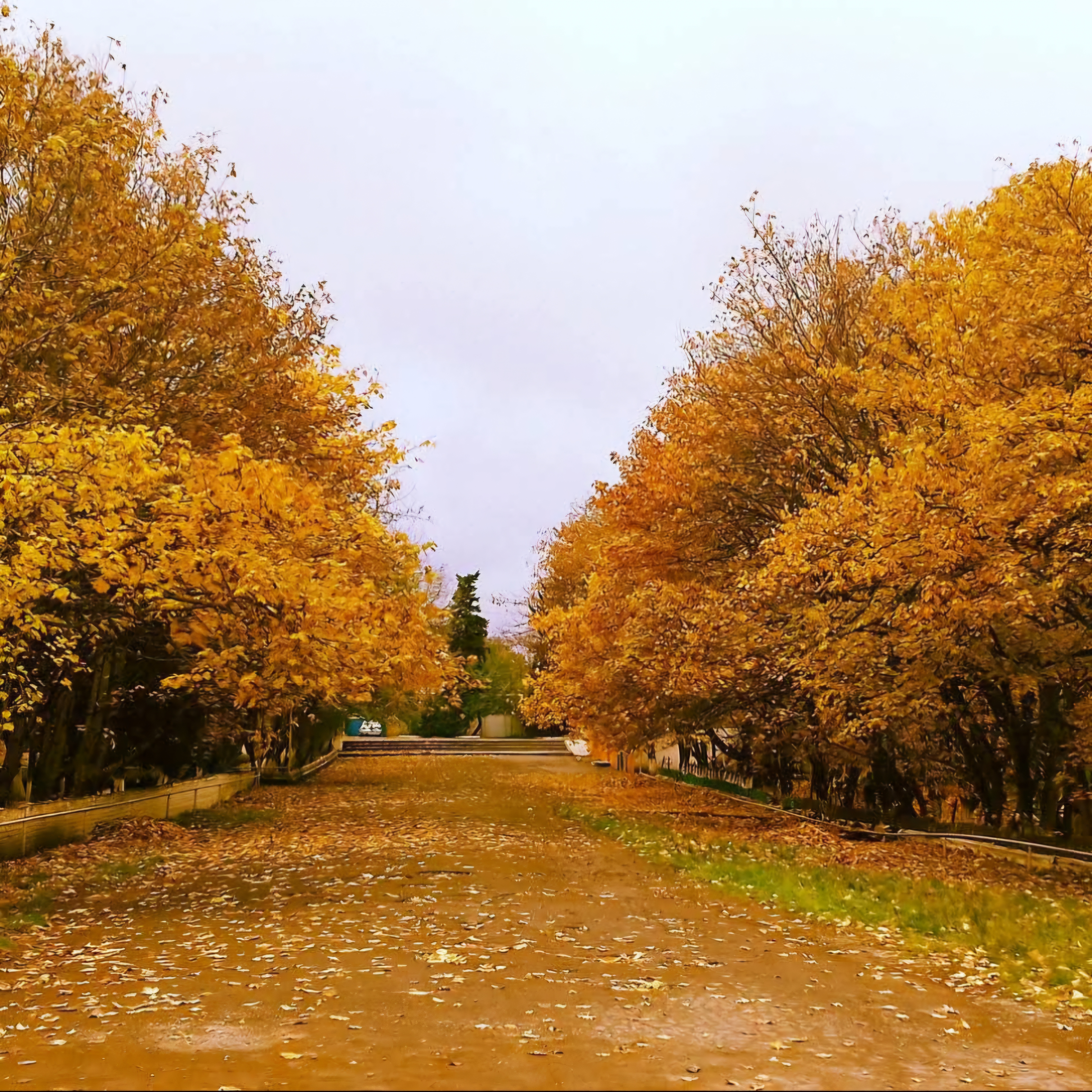 Три мира — одна душа: Шемаха, Лагич, Ивановка (5/62)