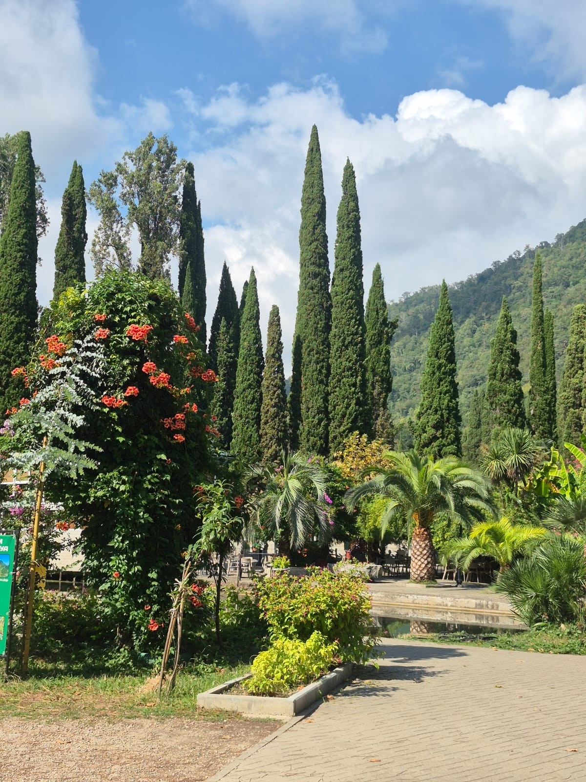 Активный тур в Абхазию: экскурсии, фитнес, море (34/55)