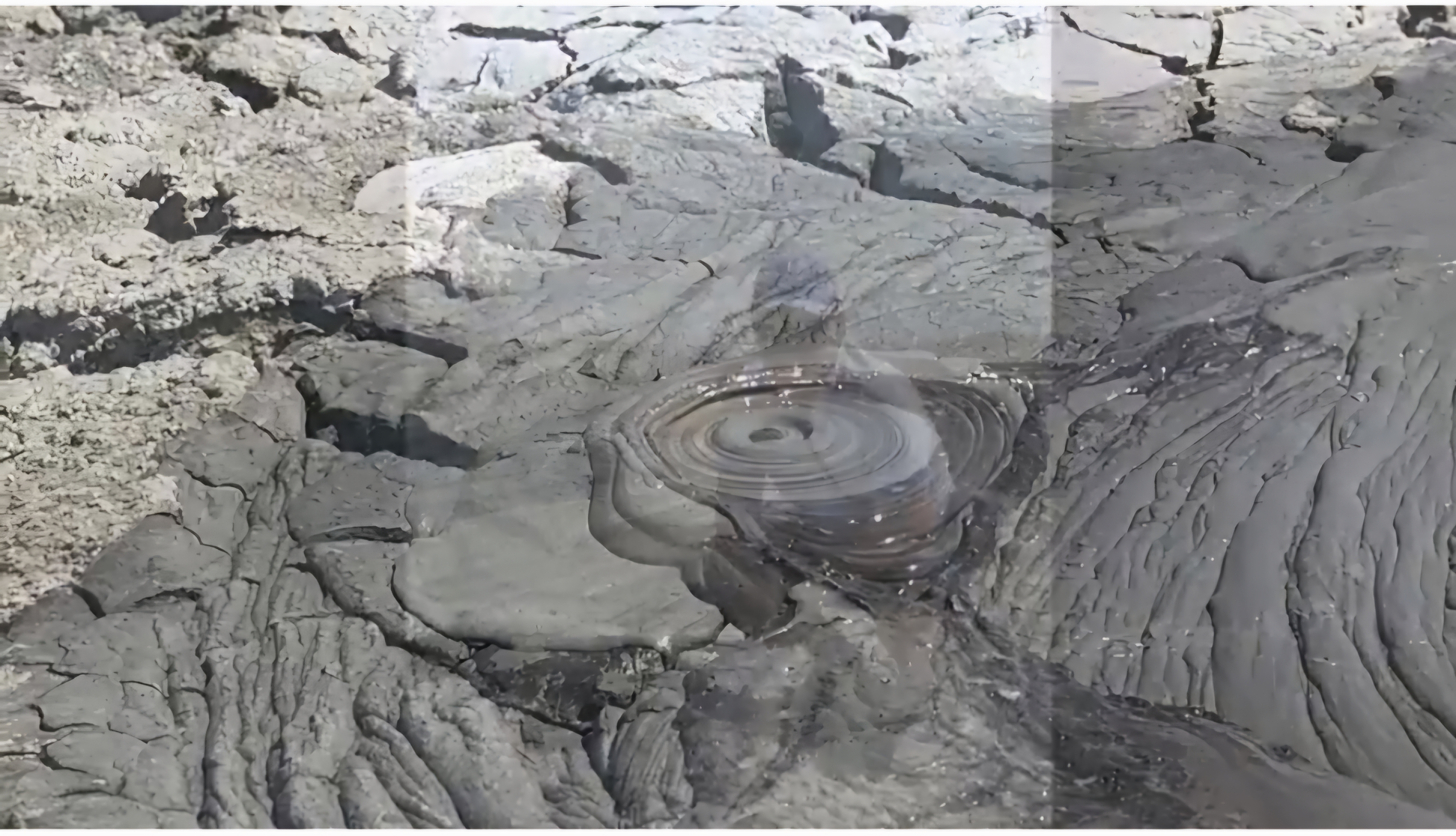 Юг Азербайджана за один день:от пещер Гобустана до субтропиков Ленькорани (49/75)