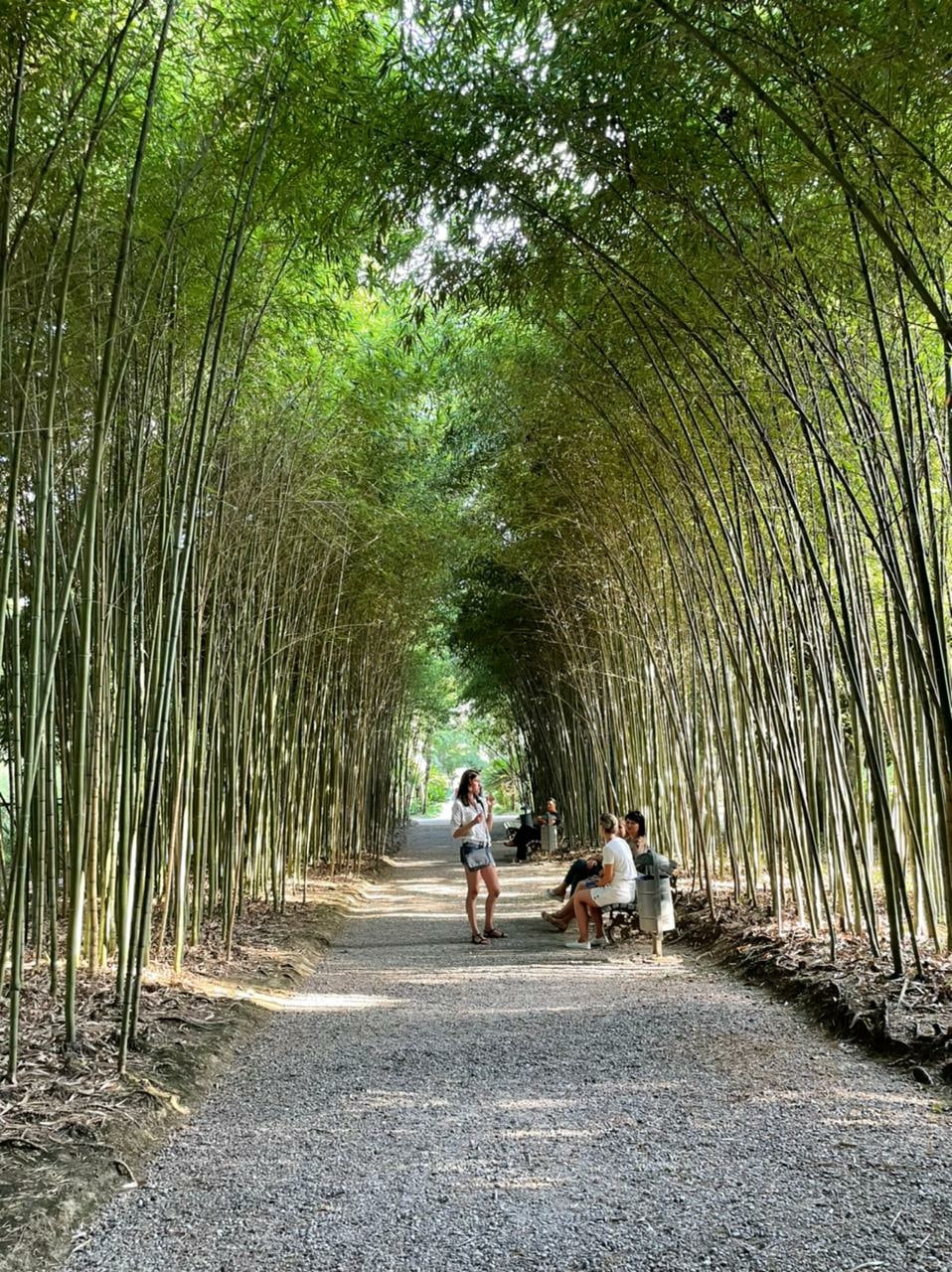 Активный тур в Абхазию: экскурсии, фитнес, море (27/55)