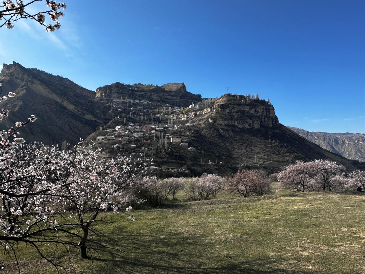 Вальс Цветов.  5 дней весны (29/71)