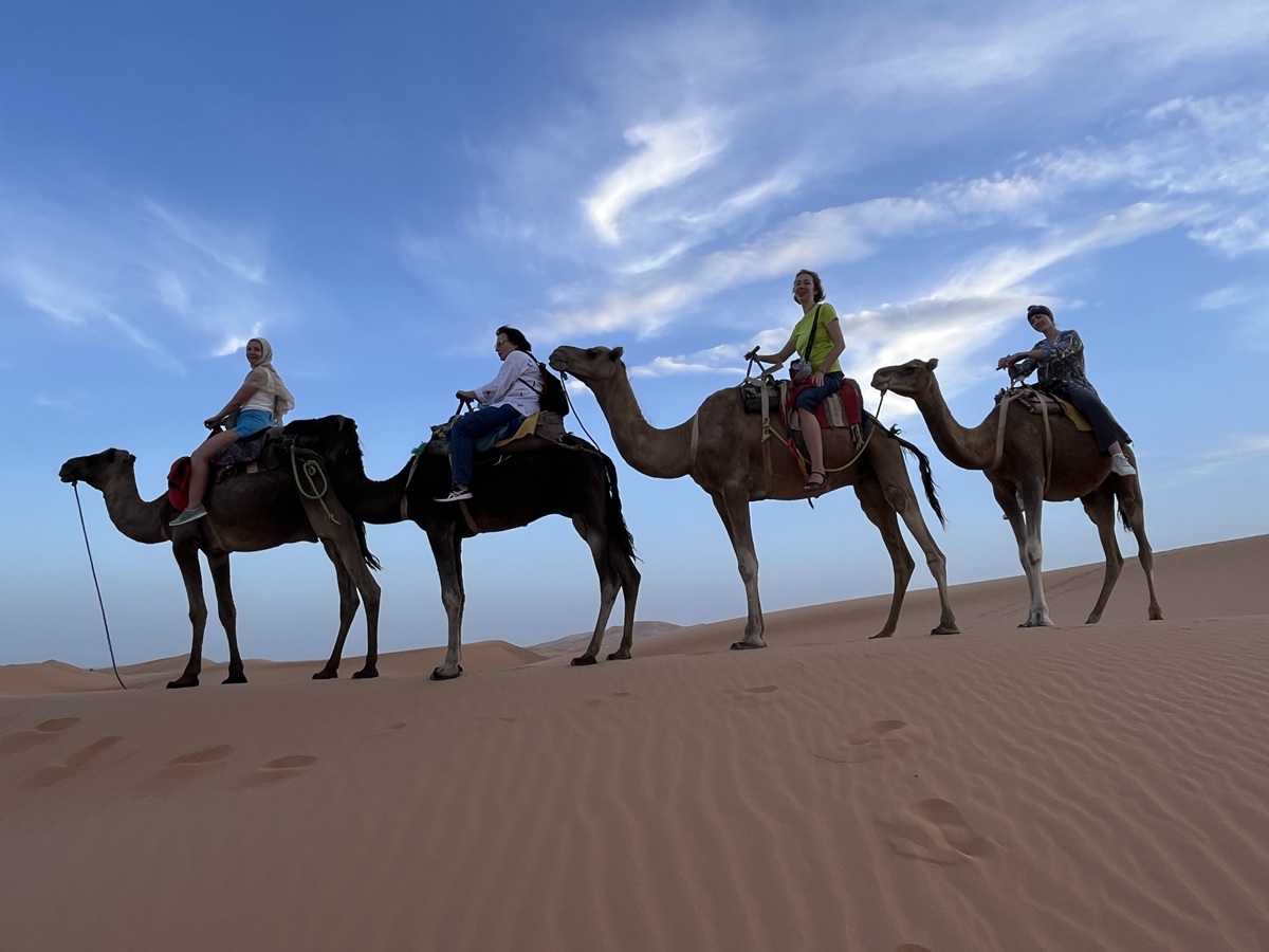 Марокко: от Атлантики до Сахары (34/71)