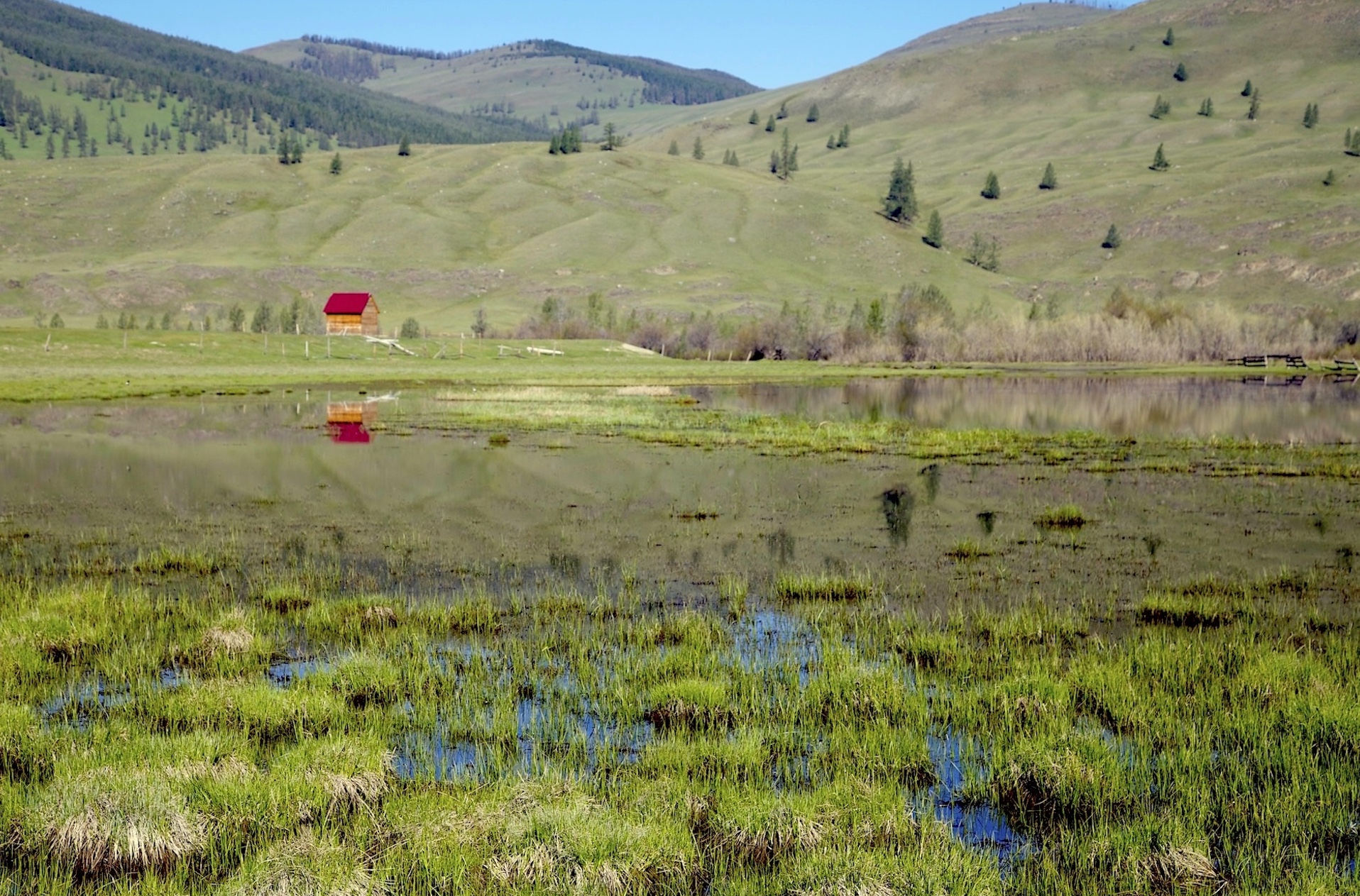 Путешествие к тайнам Горного Алтая (12/111)