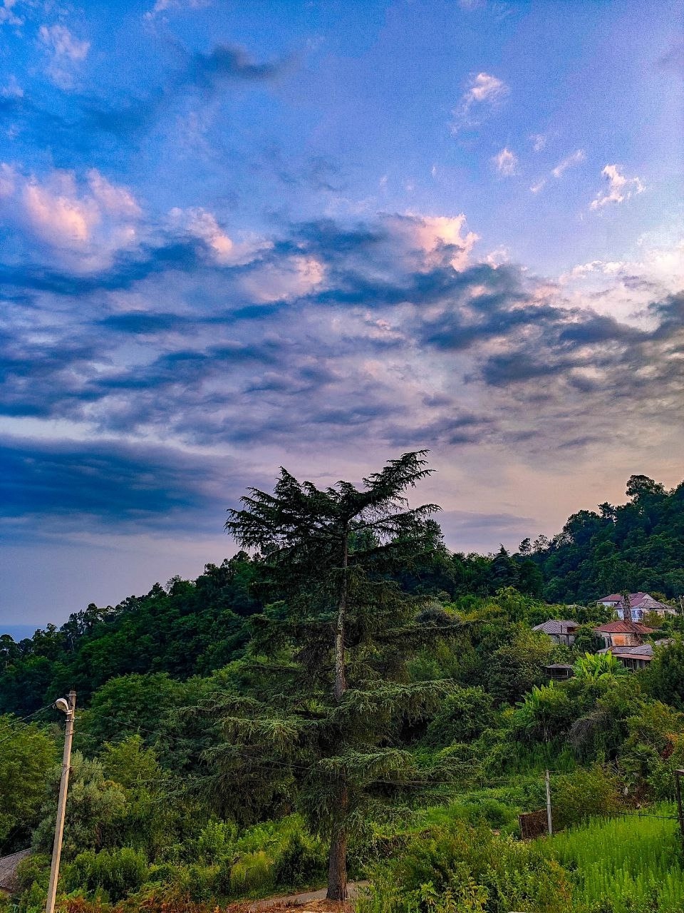 Активный тур в Абхазию: экскурсии, фитнес, море (33/55)