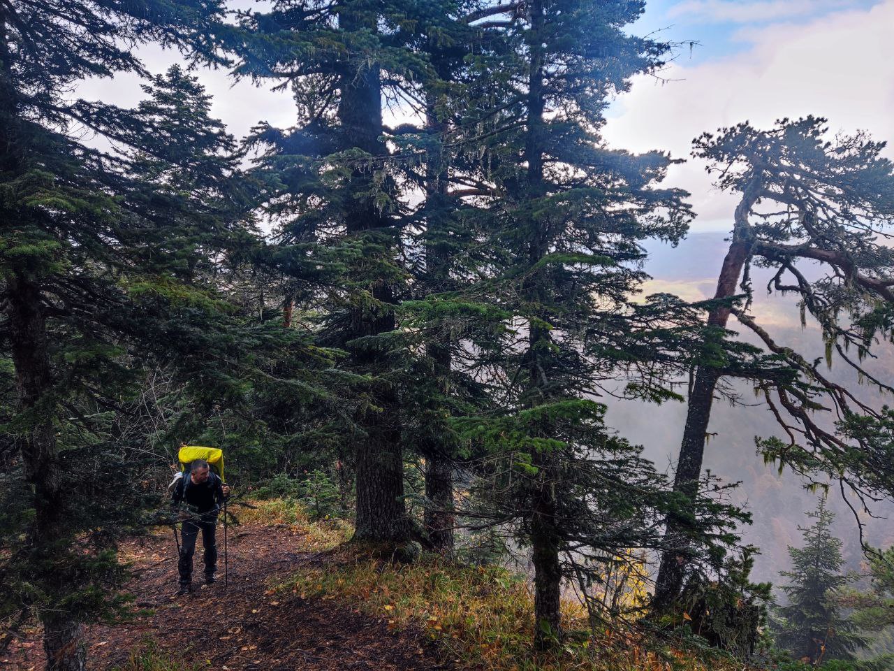 Через горы к морю! Маршрут 8 Кавказского заповедника (14/26)