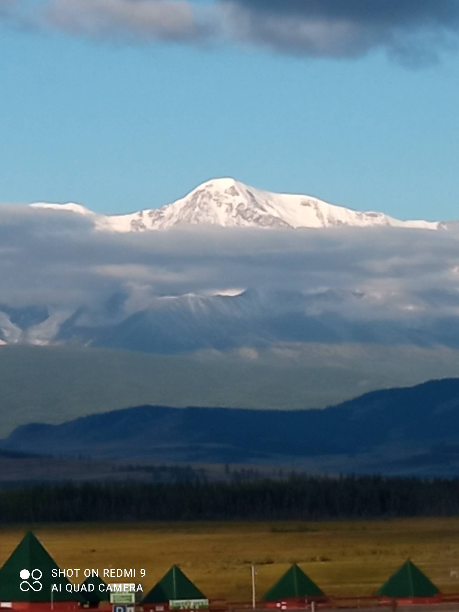 Весенний Алтай. Цветущие горы. (7/15)