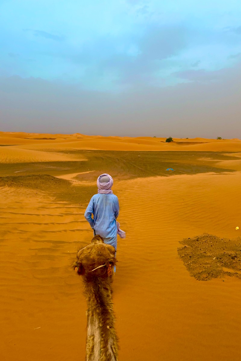 Марокко: от Атлантики до Сахары (6/71)