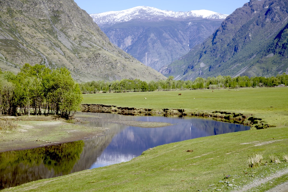 Путешествие к тайнам Горного Алтая (13/111)