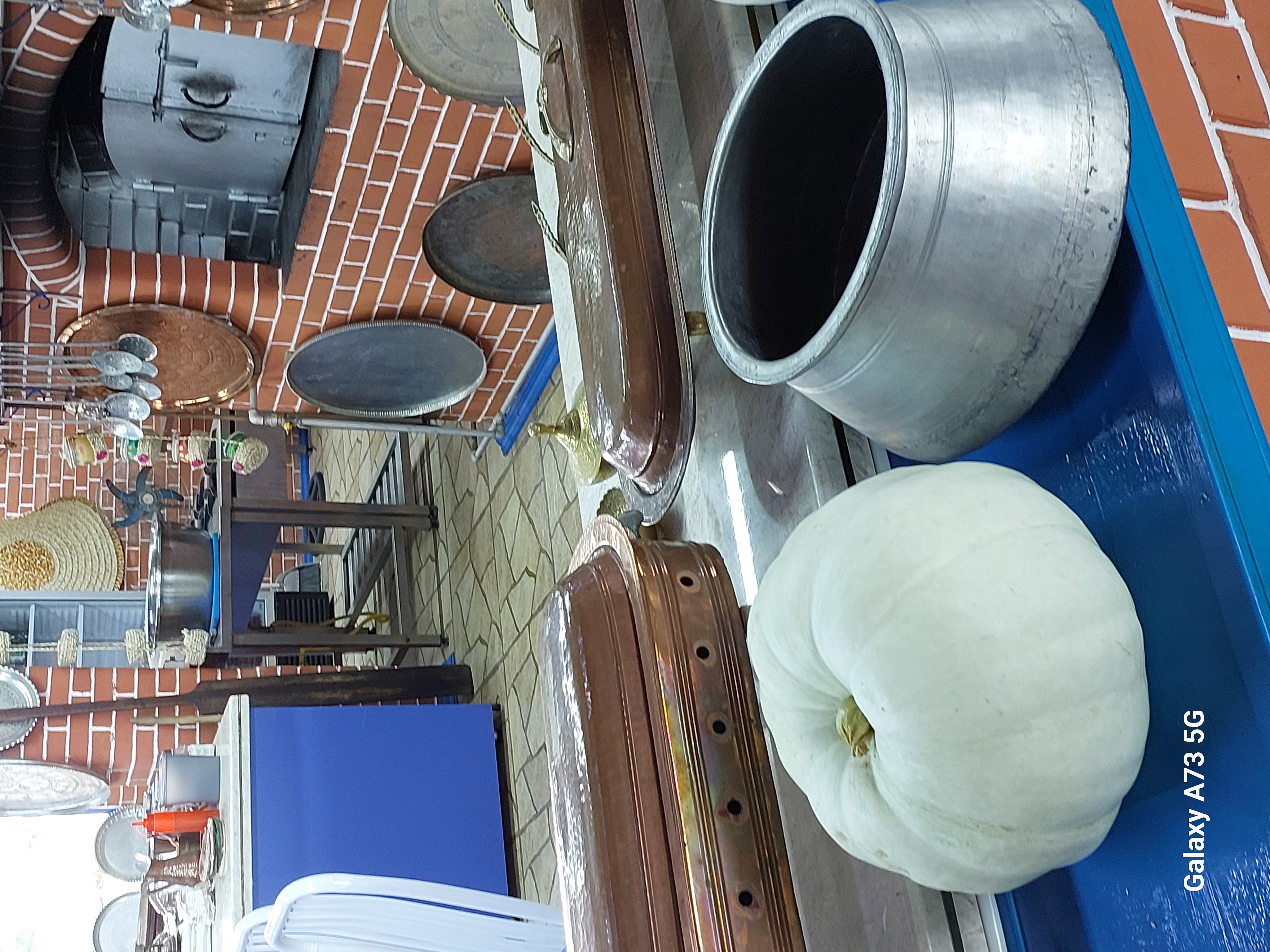 Юг Азербайджана за один день:от пещер Гобустана до субтропиков Ленькорани (24/75)