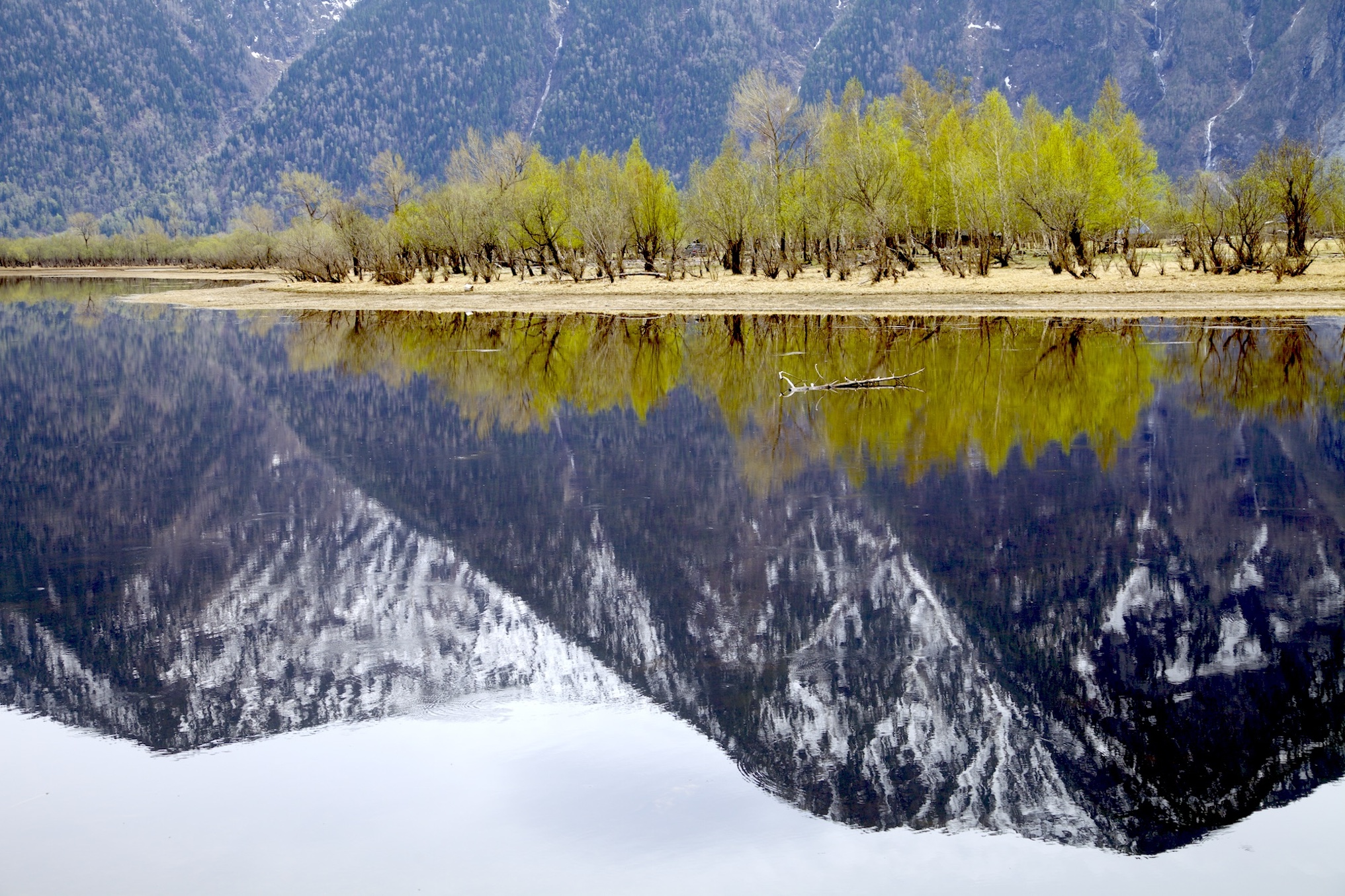 Путешествие к тайнам Горного Алтая (4/111)