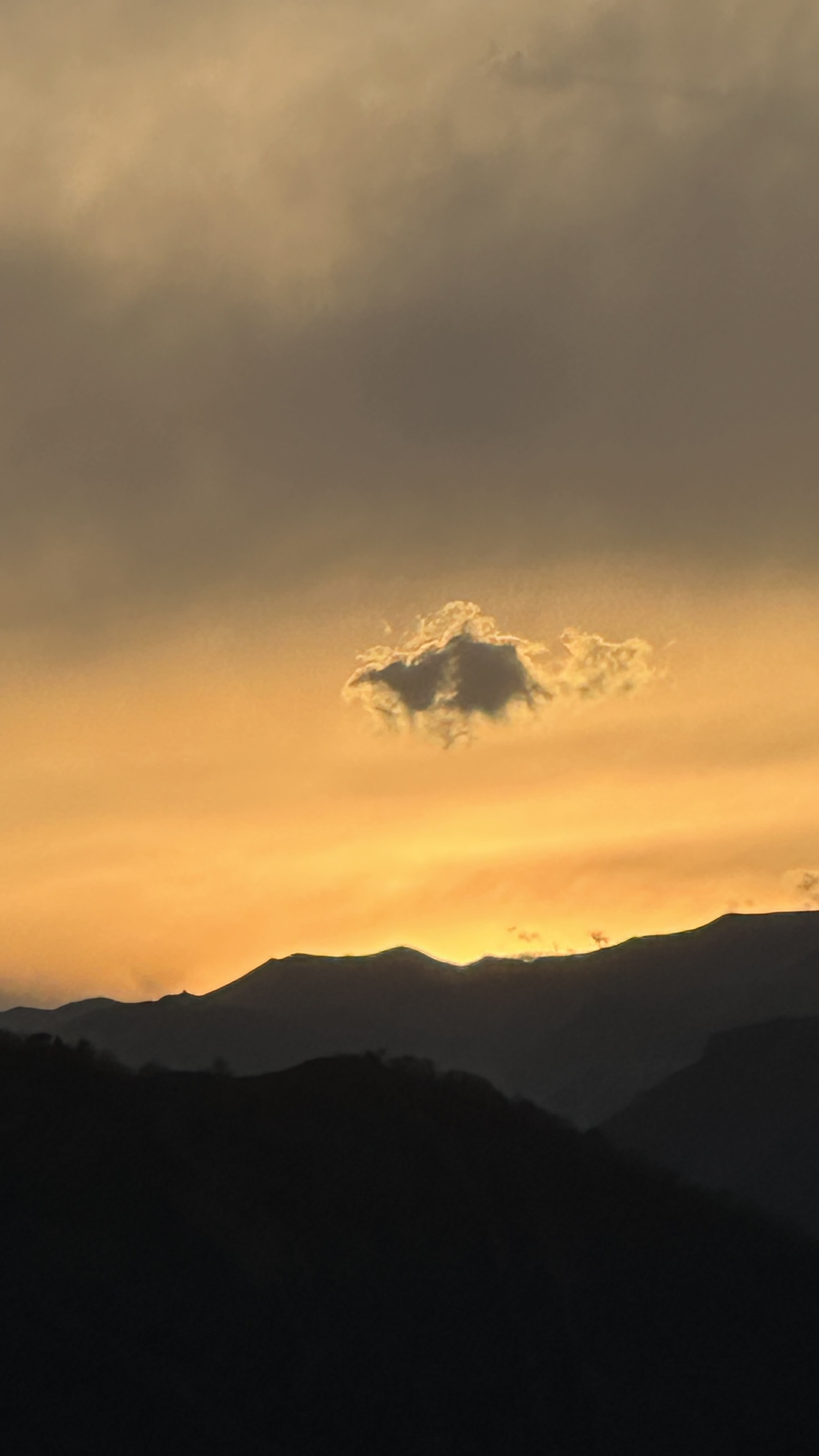 Вальс Цветов.  5 дней весны (55/71)