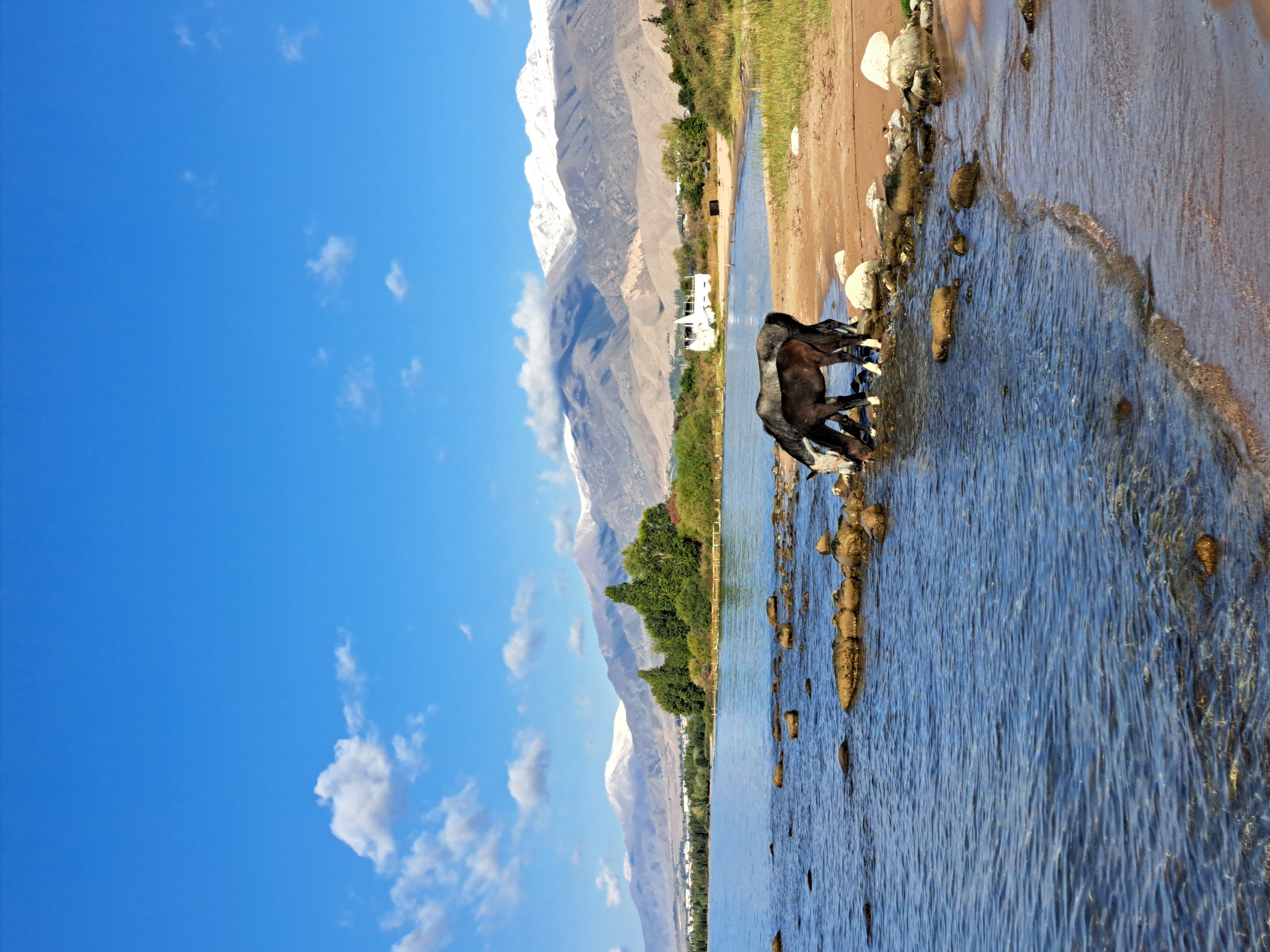 Весенняя Киргизия в мини-группе на джипах (29/29)