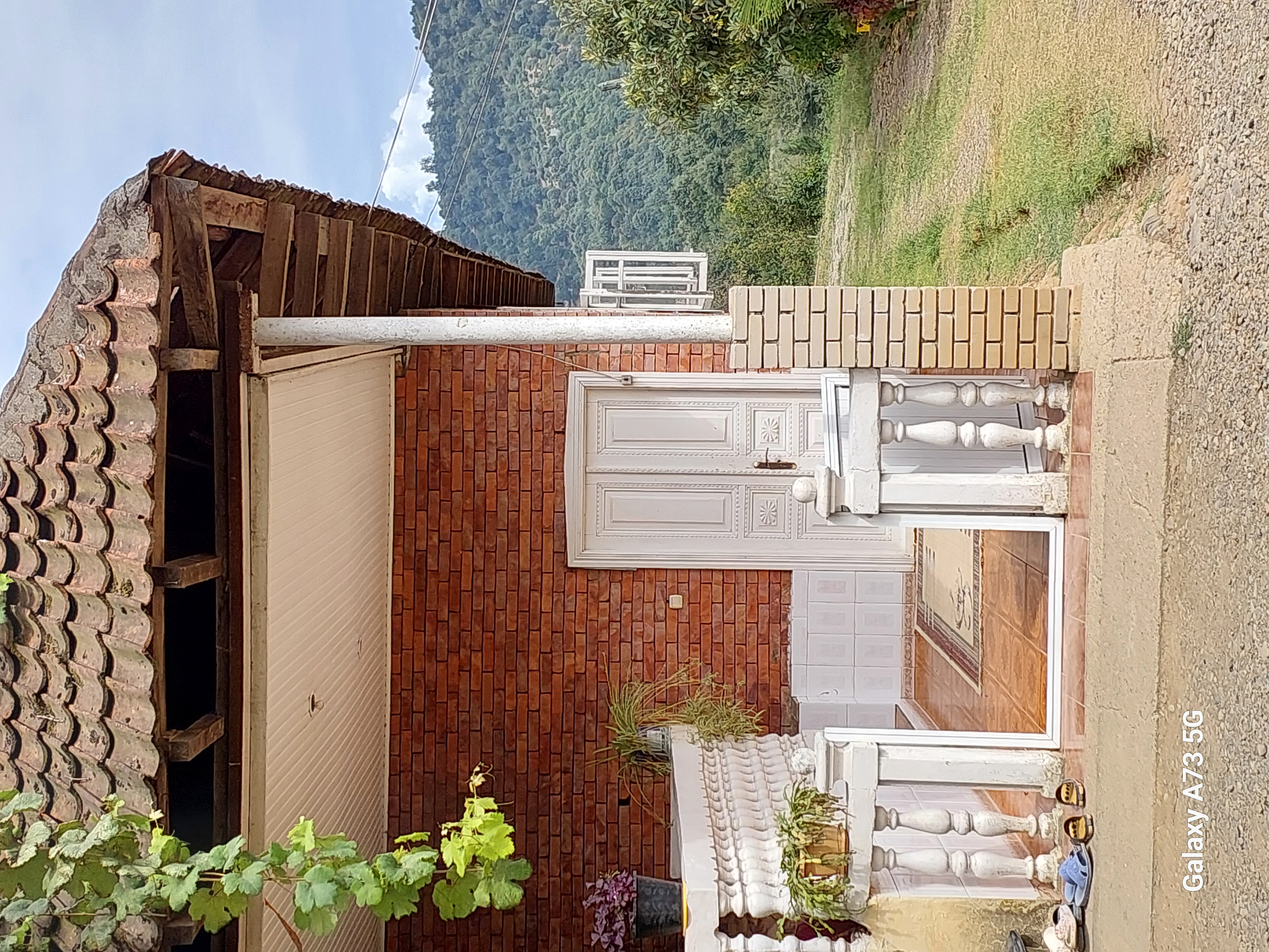 Юг Азербайджана за один день:от пещер Гобустана до субтропиков Ленькорани (27/75)