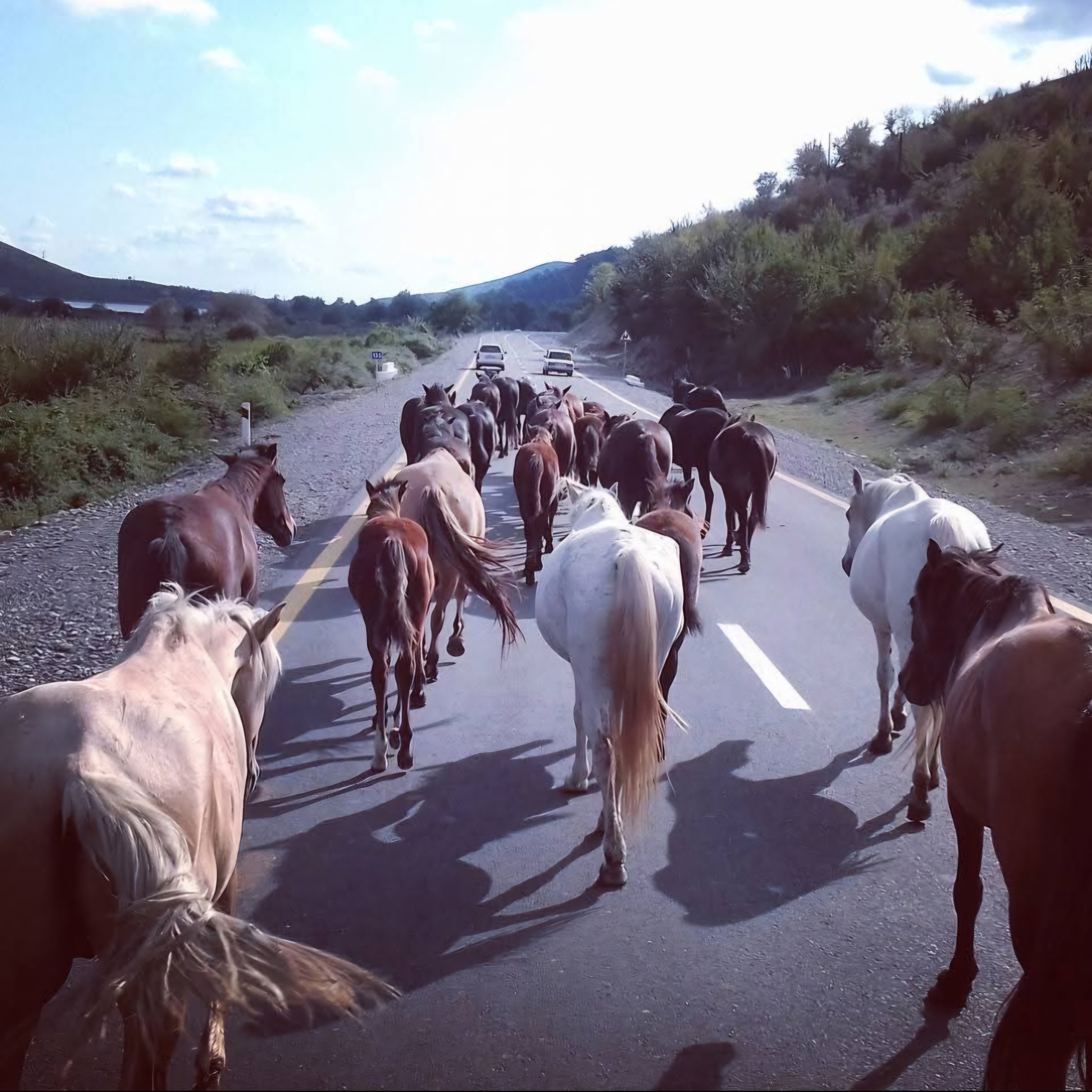 Три мира — одна душа: Шемаха, Лагич, Ивановка (4/62)