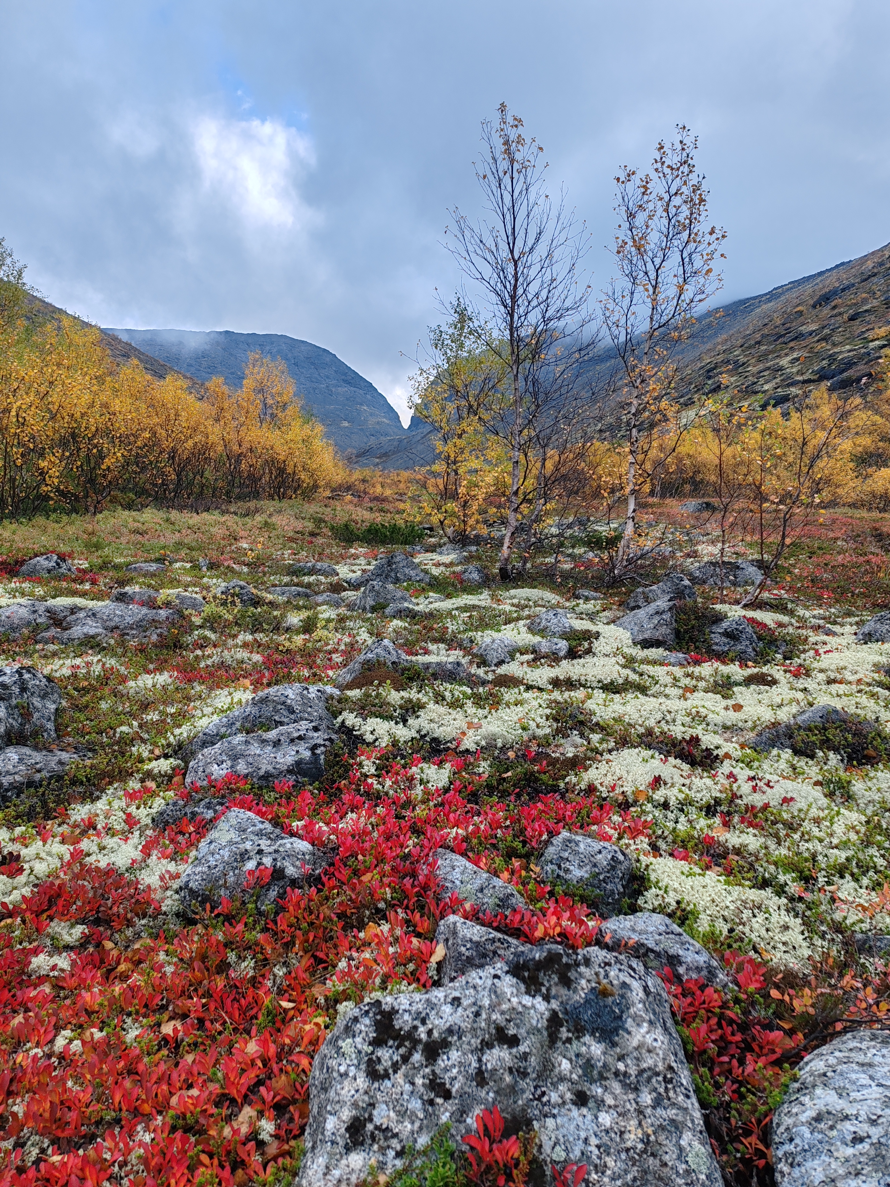 7 дней в Хибинах (16/27)