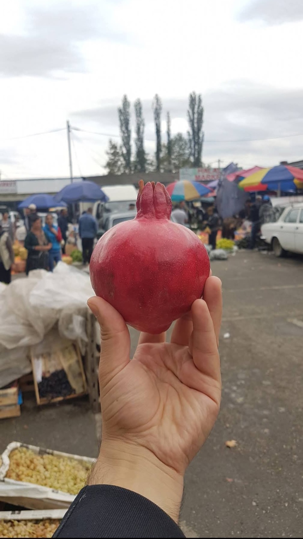 Три мира — одна душа: Шемаха, Лагич, Ивановка (8/62)