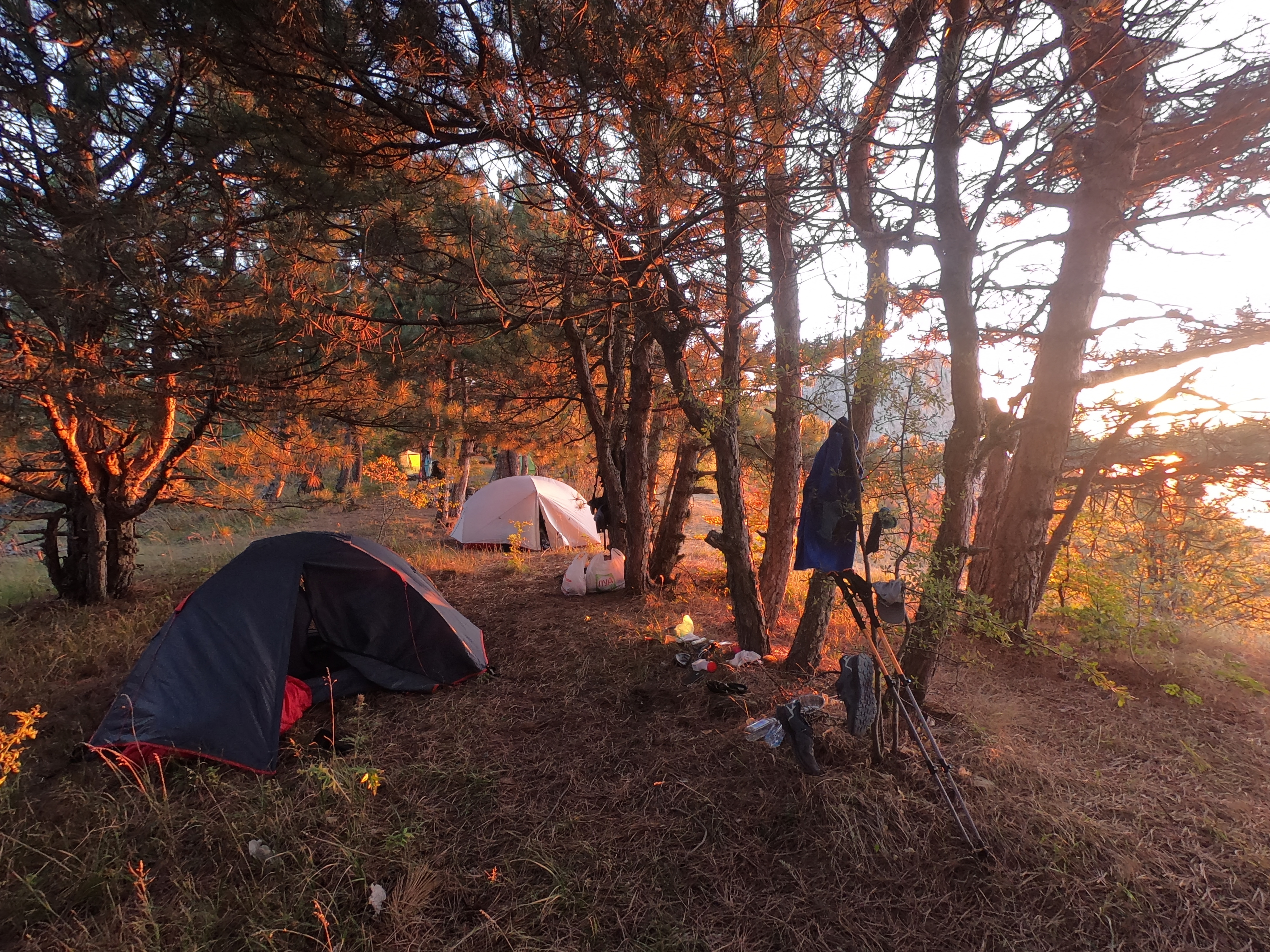 Через горы к морю! Маршрут 8 Кавказского заповедника (23/26)
