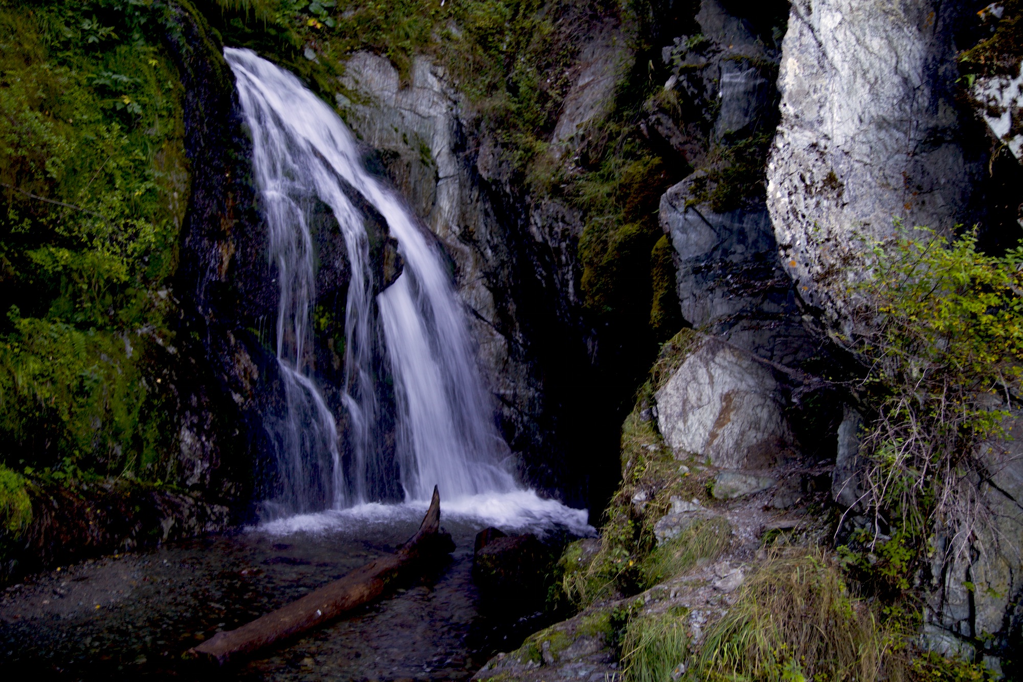 Путешествие к тайнам Горного Алтая (59/111)