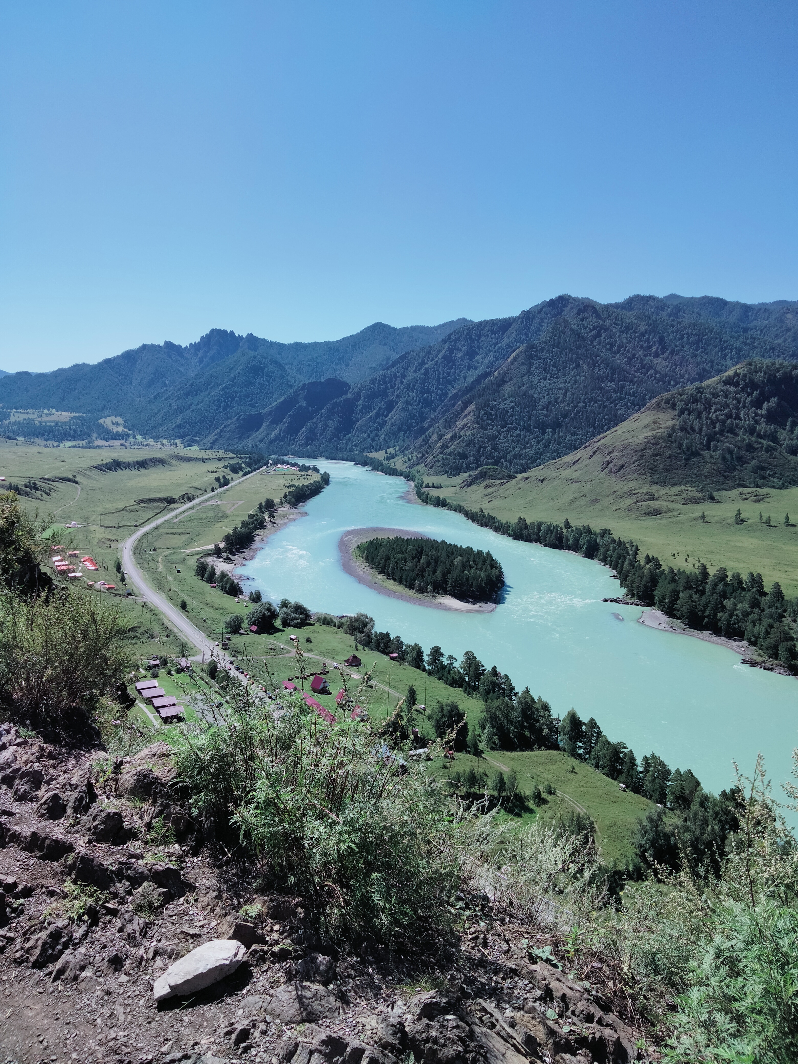 Весенний Алтай. Цветущие горы. (14/15)