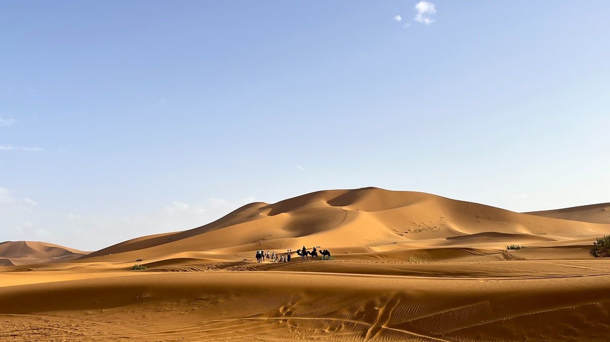 Марокко: от Атлантики до Сахары (35/71)