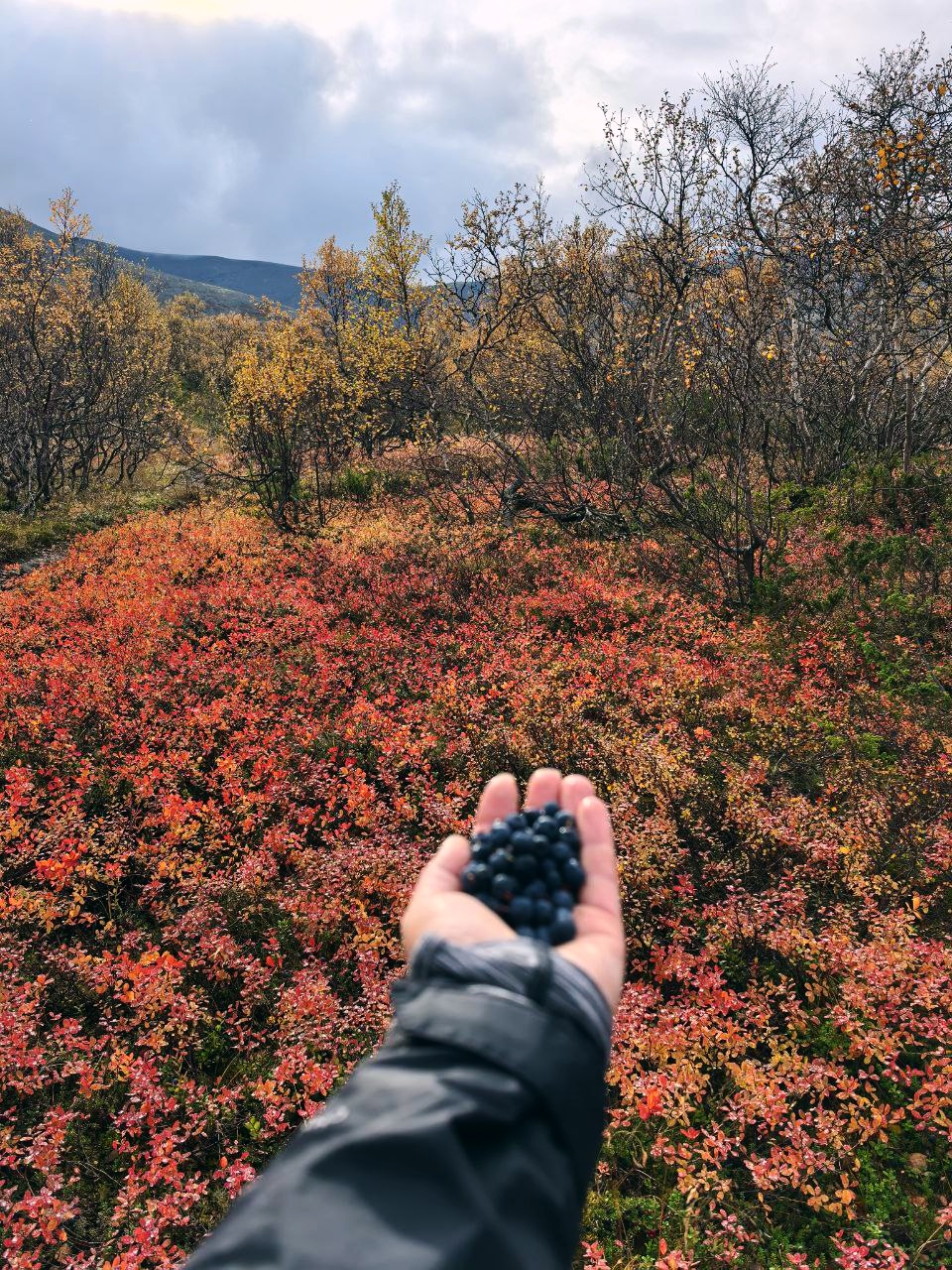 7 дней в Хибинах (11/27)