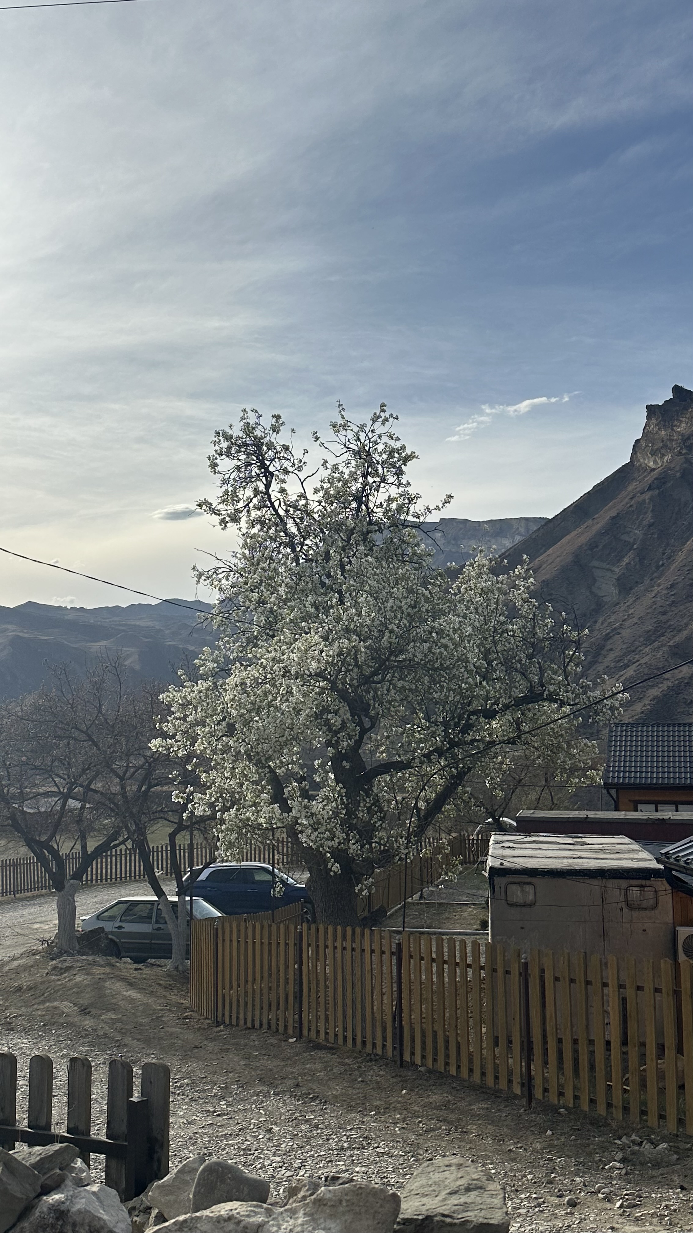 Вальс Цветов.  5 дней весны (48/71)