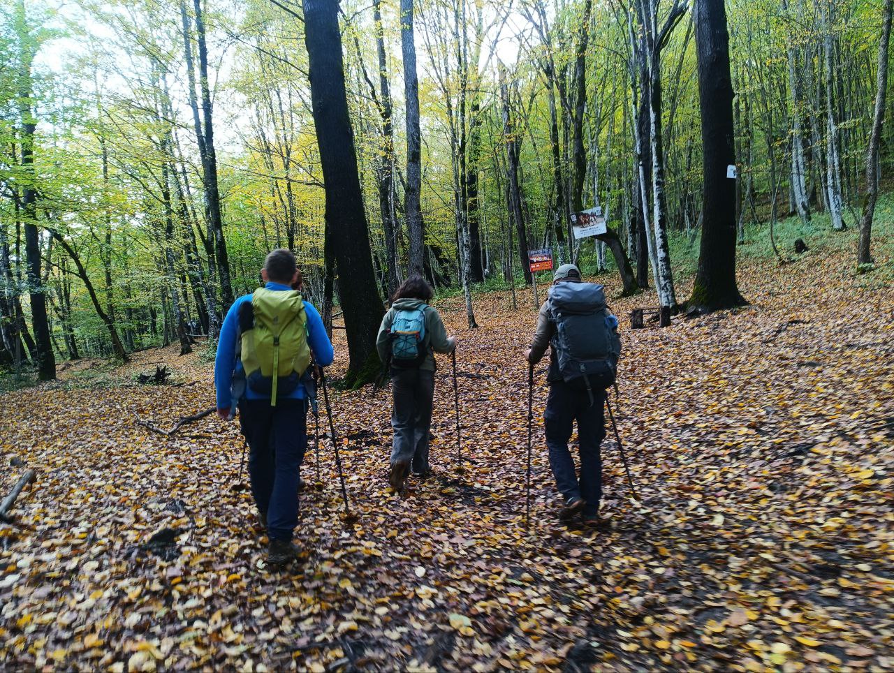 Через горы к морю! Маршрут 8 Кавказского заповедника (7/26)