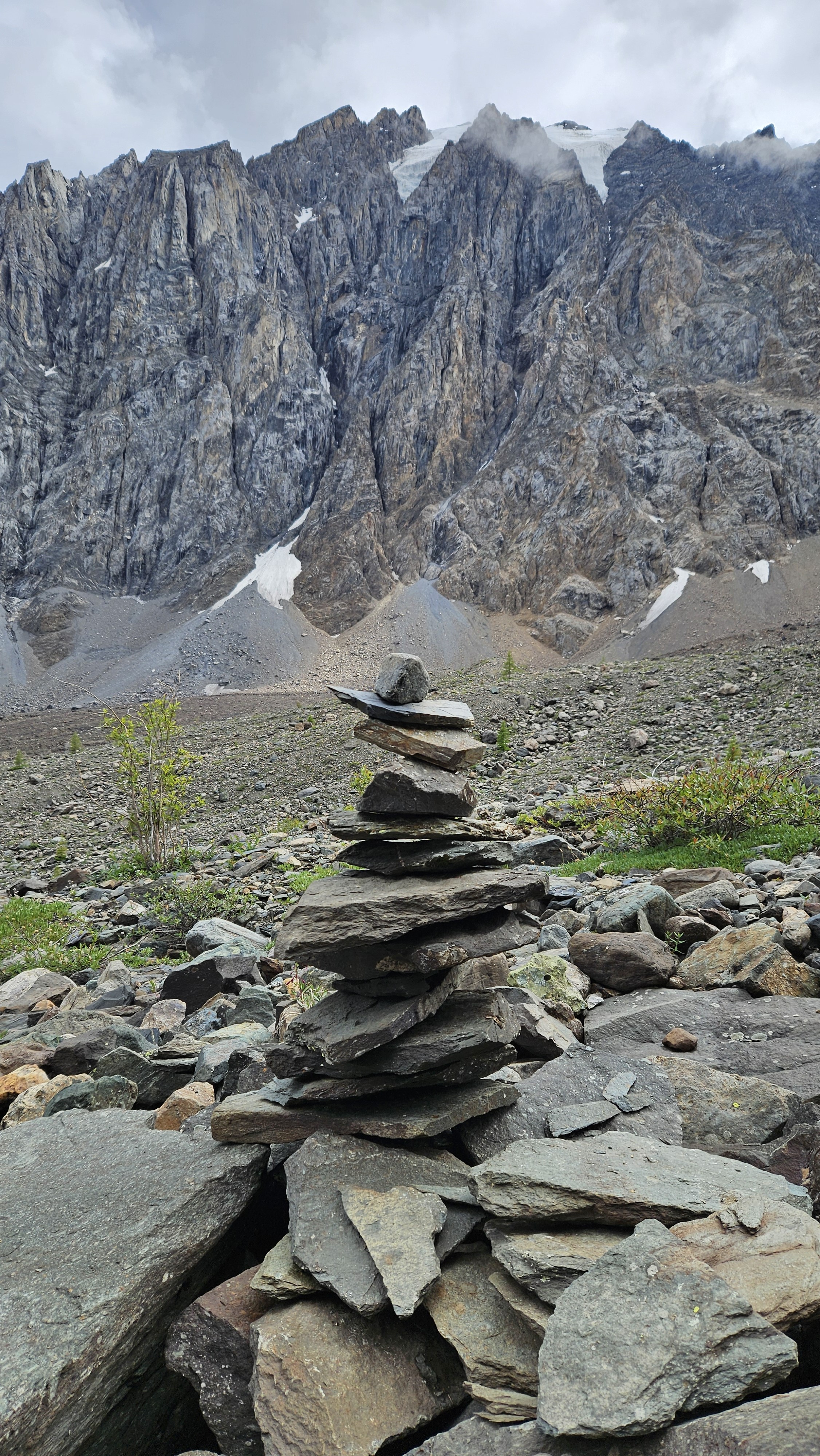 Весенний Алтай. Цветущие горы. (2/15)