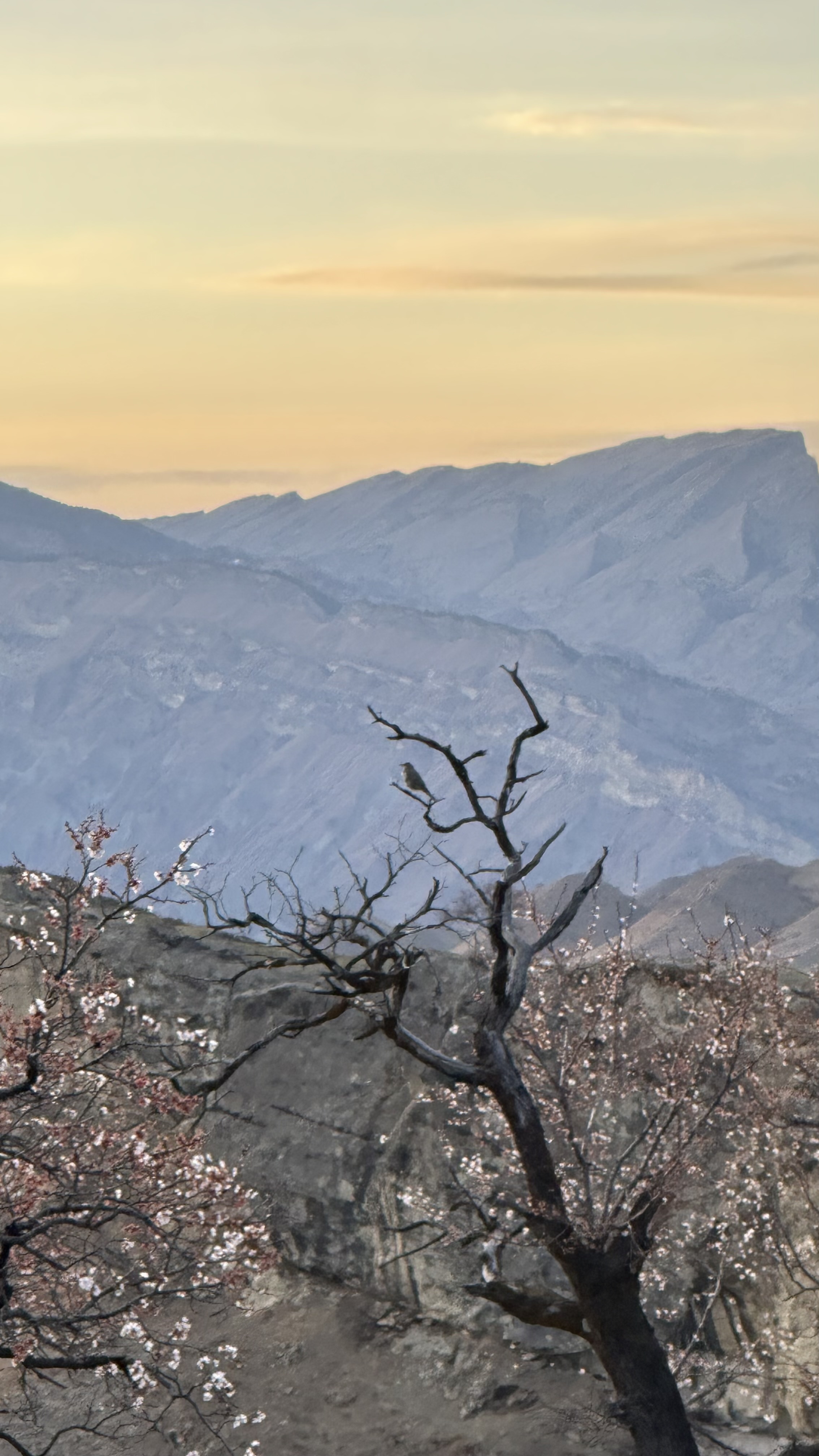 Вальс Цветов.  5 дней весны (56/71)
