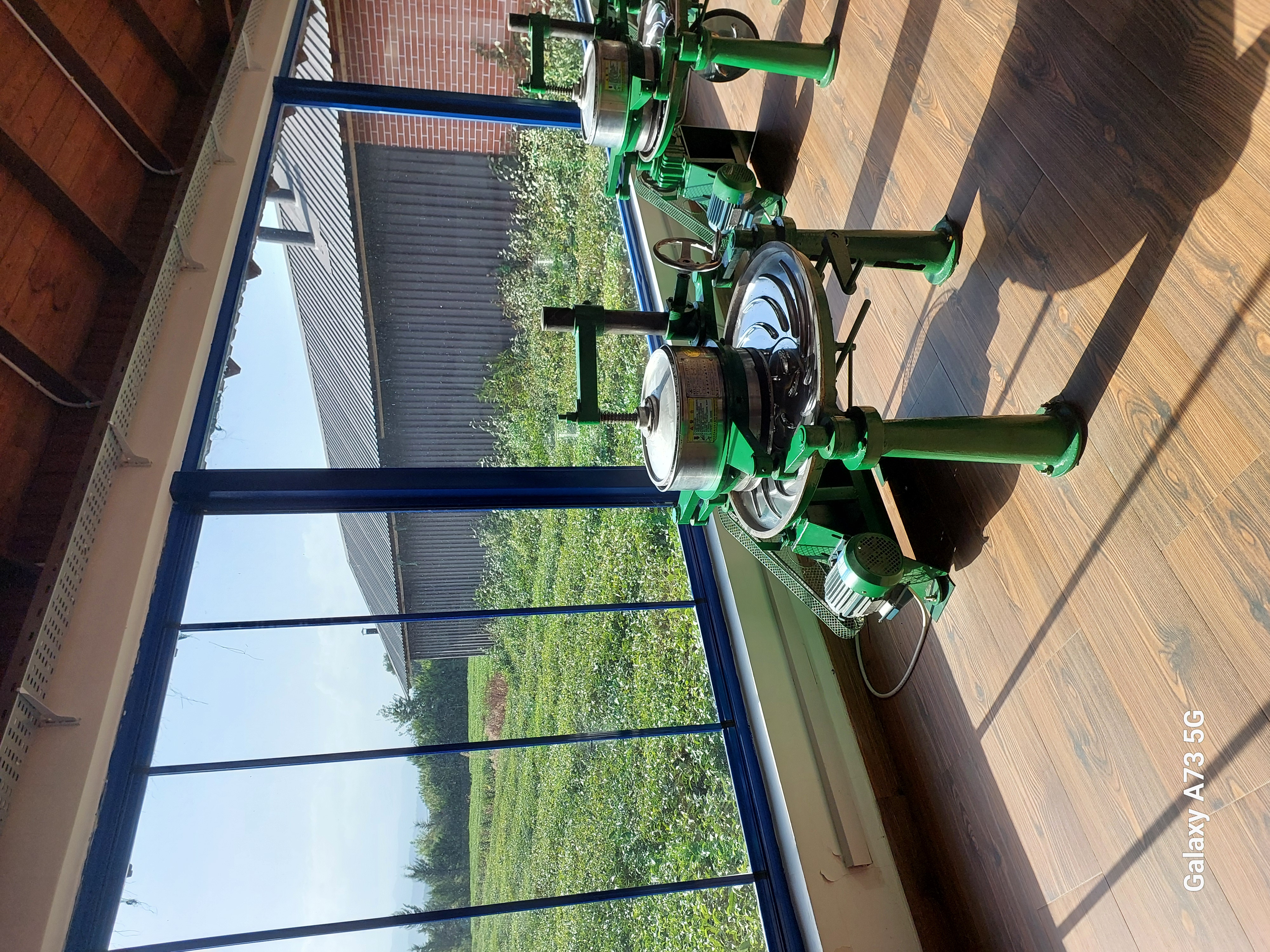 Юг Азербайджана за один день:от пещер Гобустана до субтропиков Ленькорани (22/75)