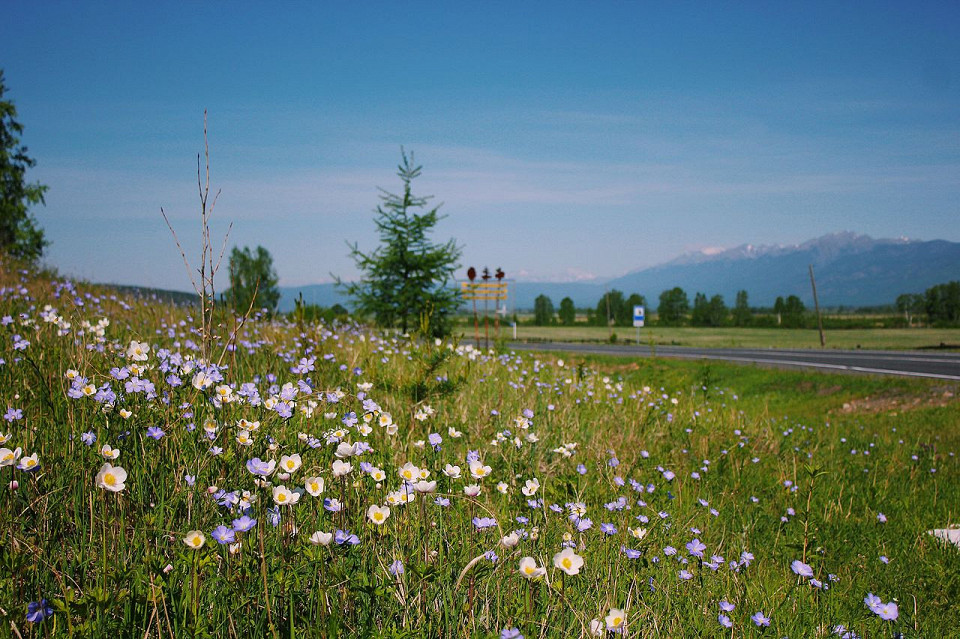 Монголия. Земля Чингисхана. (30/33)