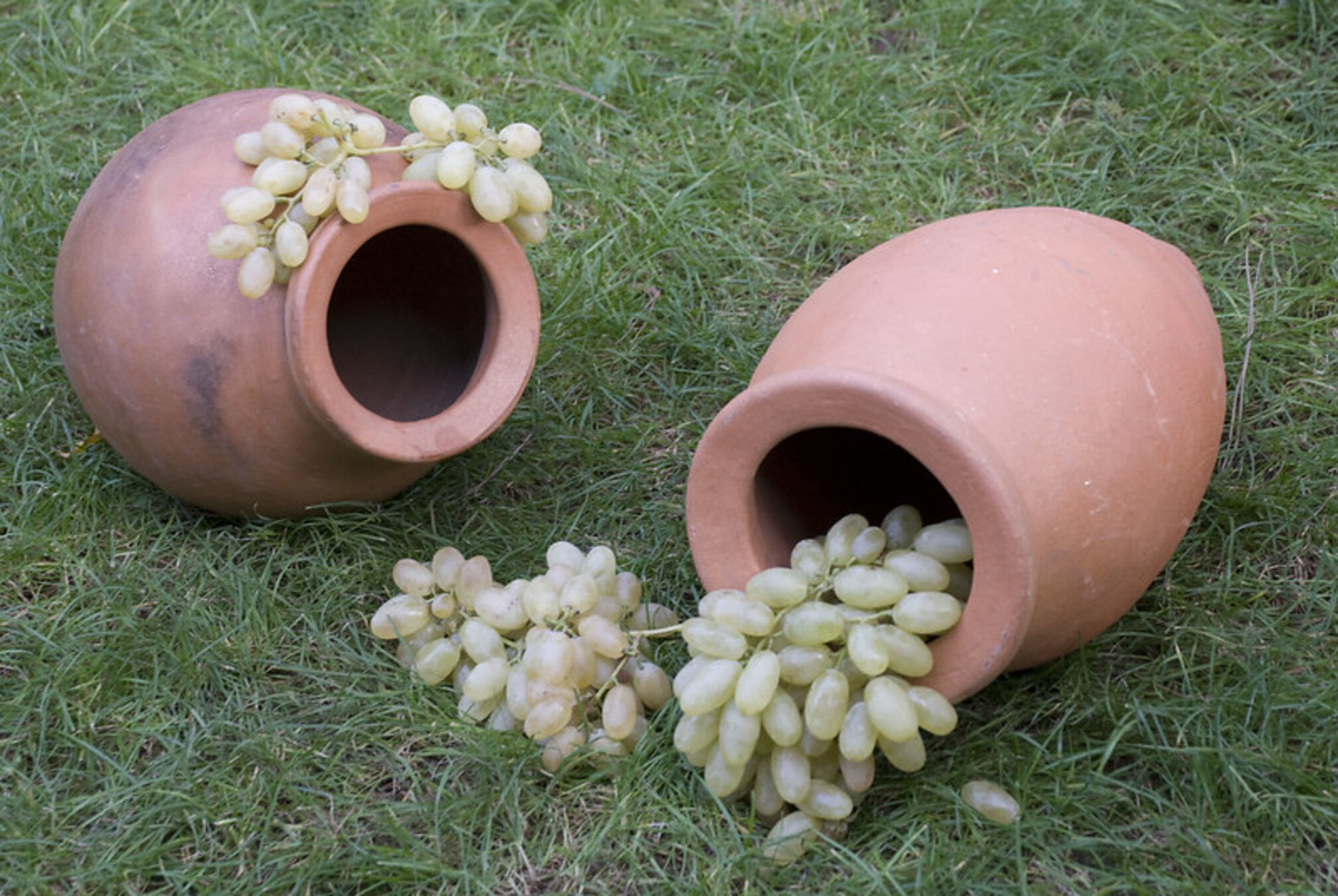 Три мира — одна душа: Шемаха, Лагич, Ивановка (35/62)