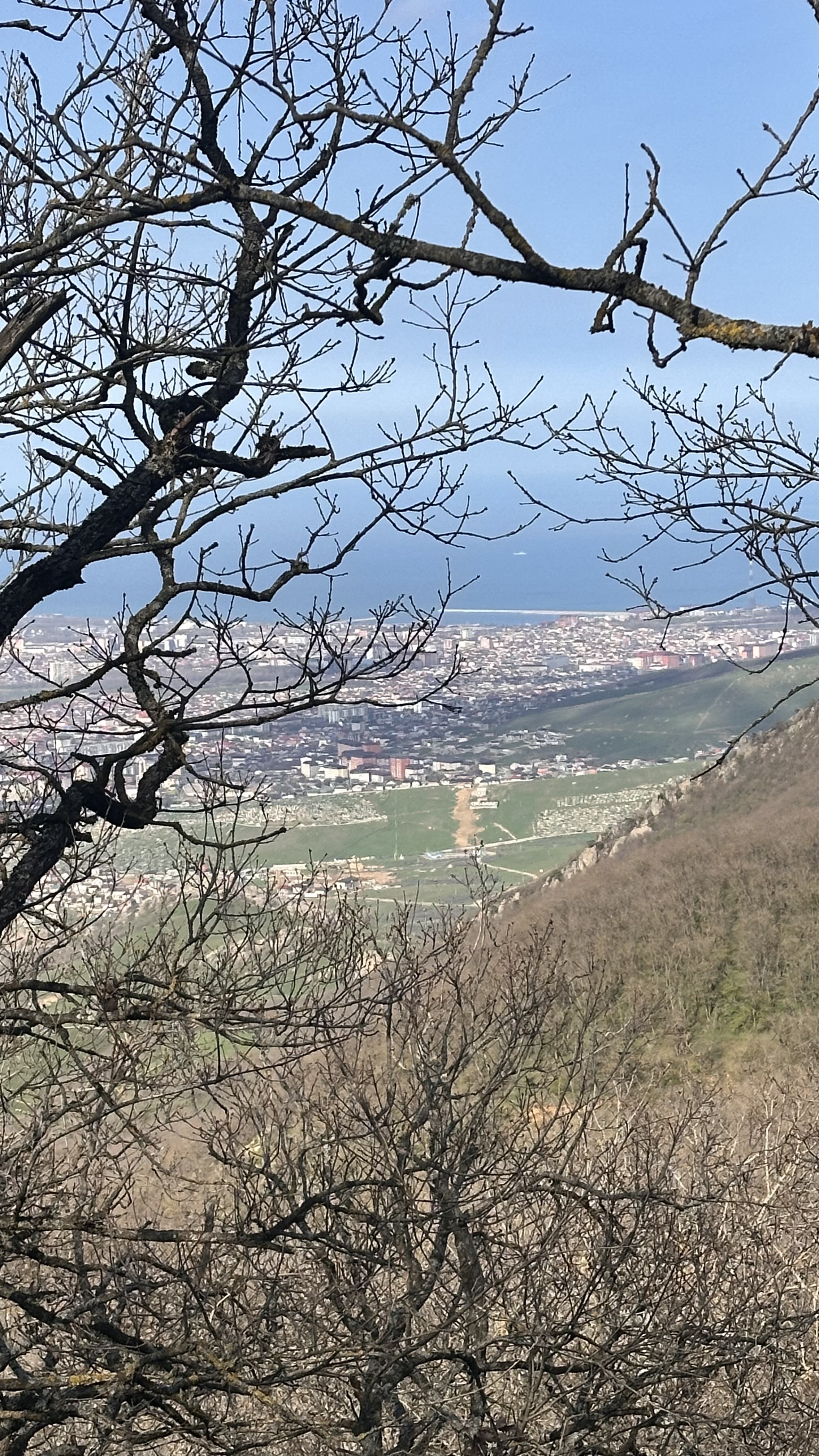 Вальс Цветов.  5 дней весны (36/71)