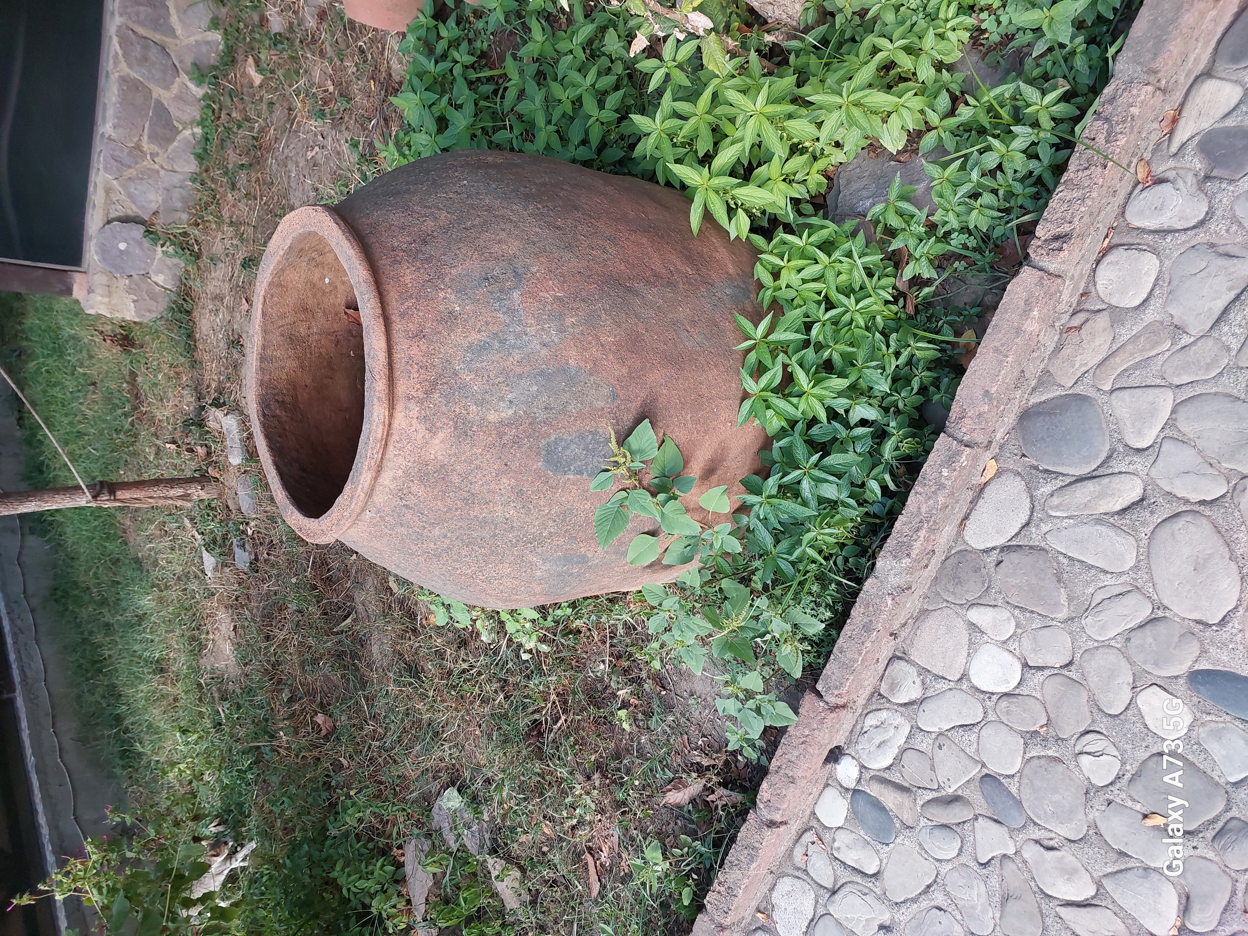 Юг Азербайджана за один день:от пещер Гобустана до субтропиков Ленькорани (15/75)